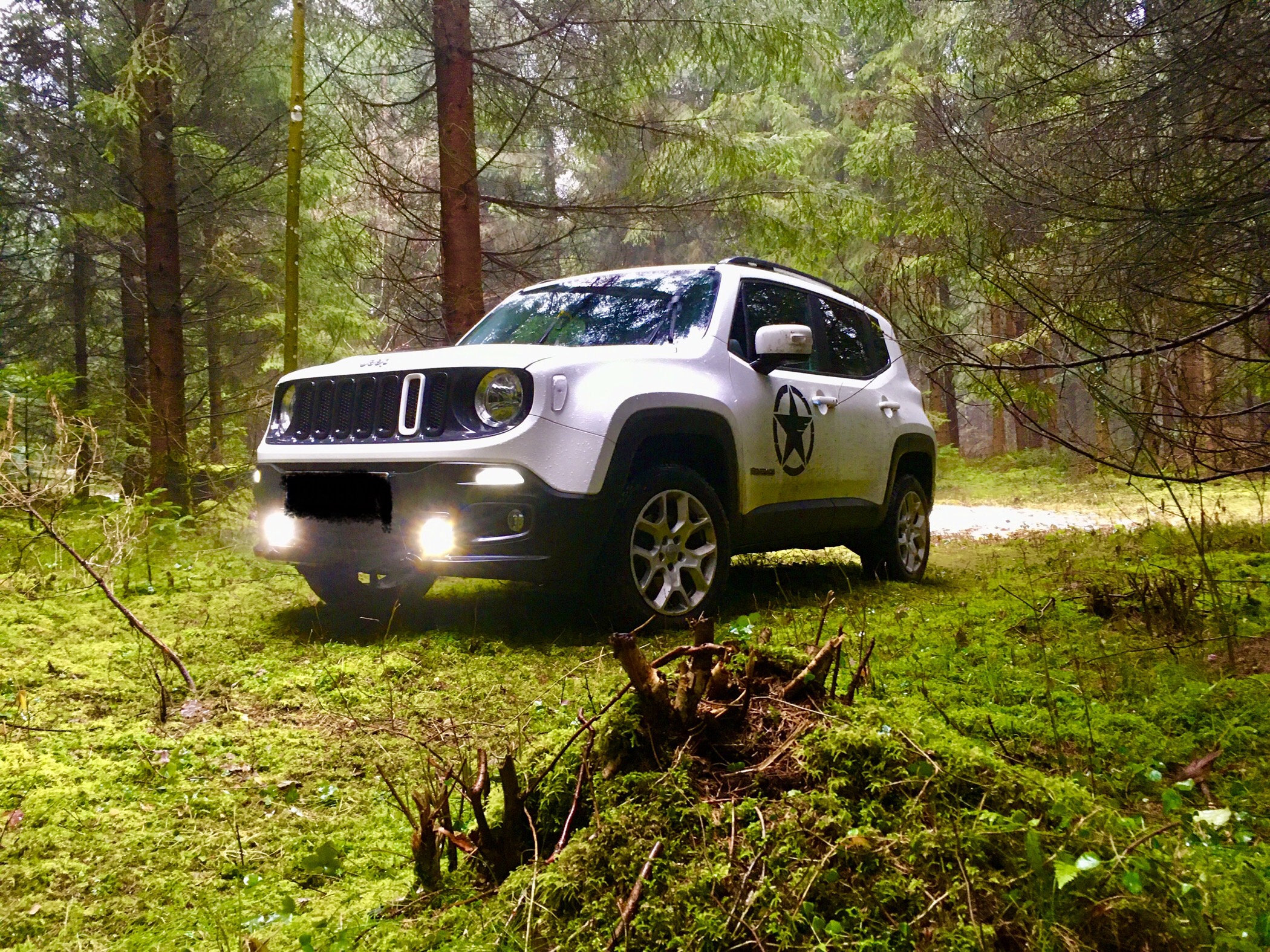 Heute mal wieder Artgerecht bewegt