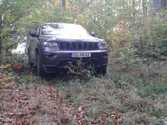 Im natürlichen Lebensraum