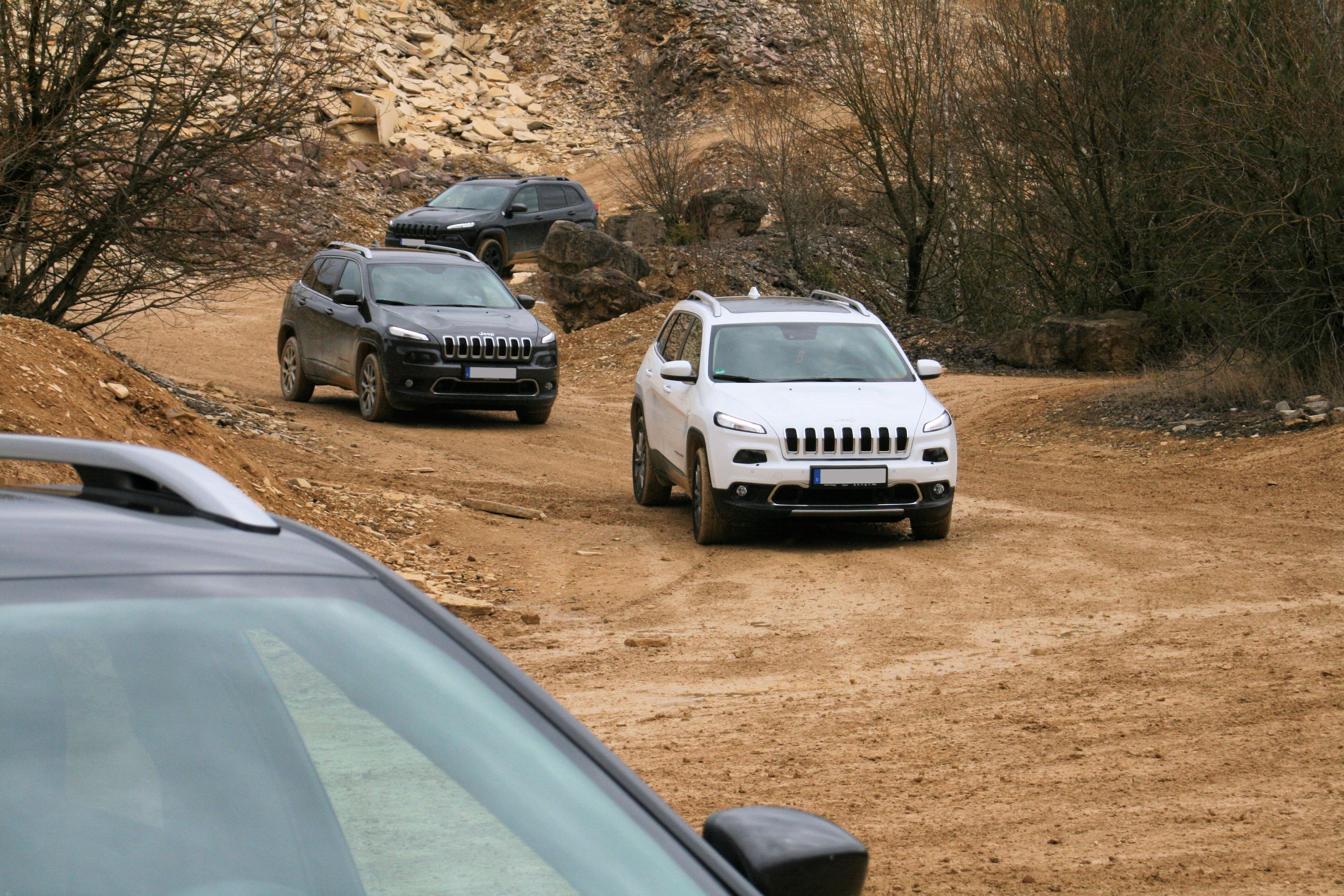 2016-03-26 Langenaltheim (8)