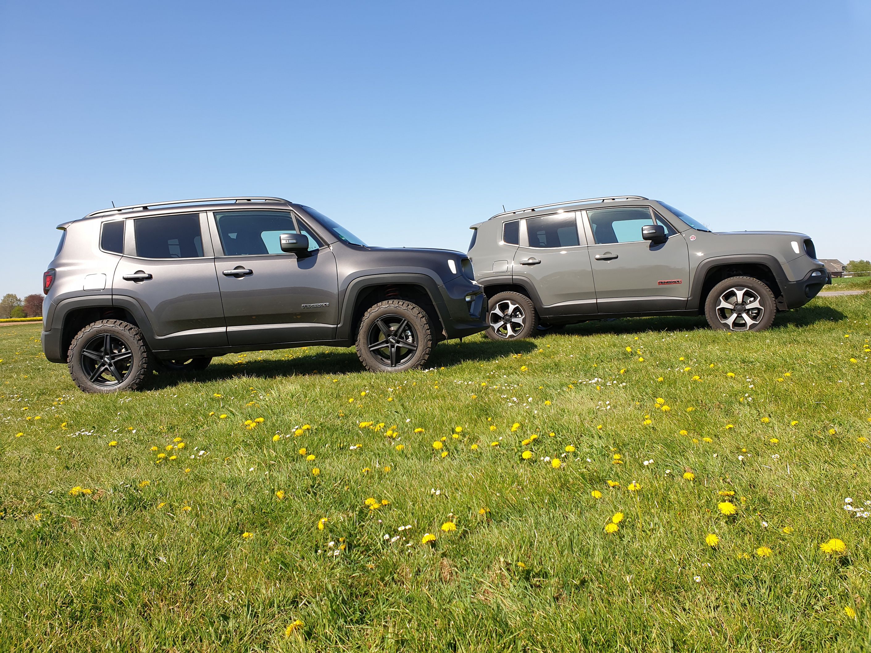 Renegade Limited vs Trailhawk