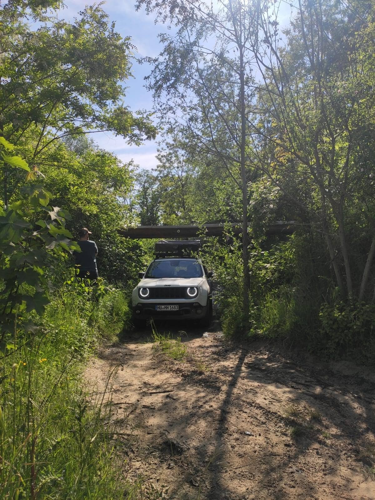Bruder Tack bricht durchs Gebüsch
