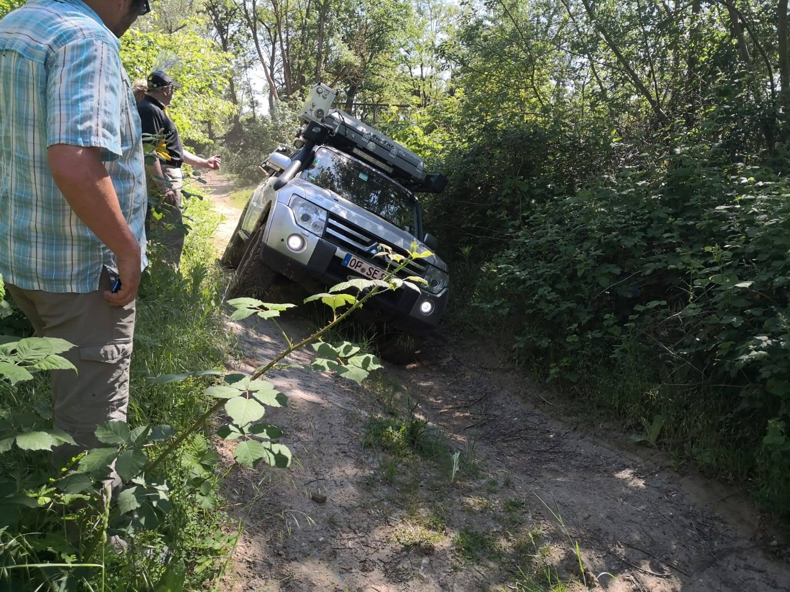 Silberrücken voll bepackt