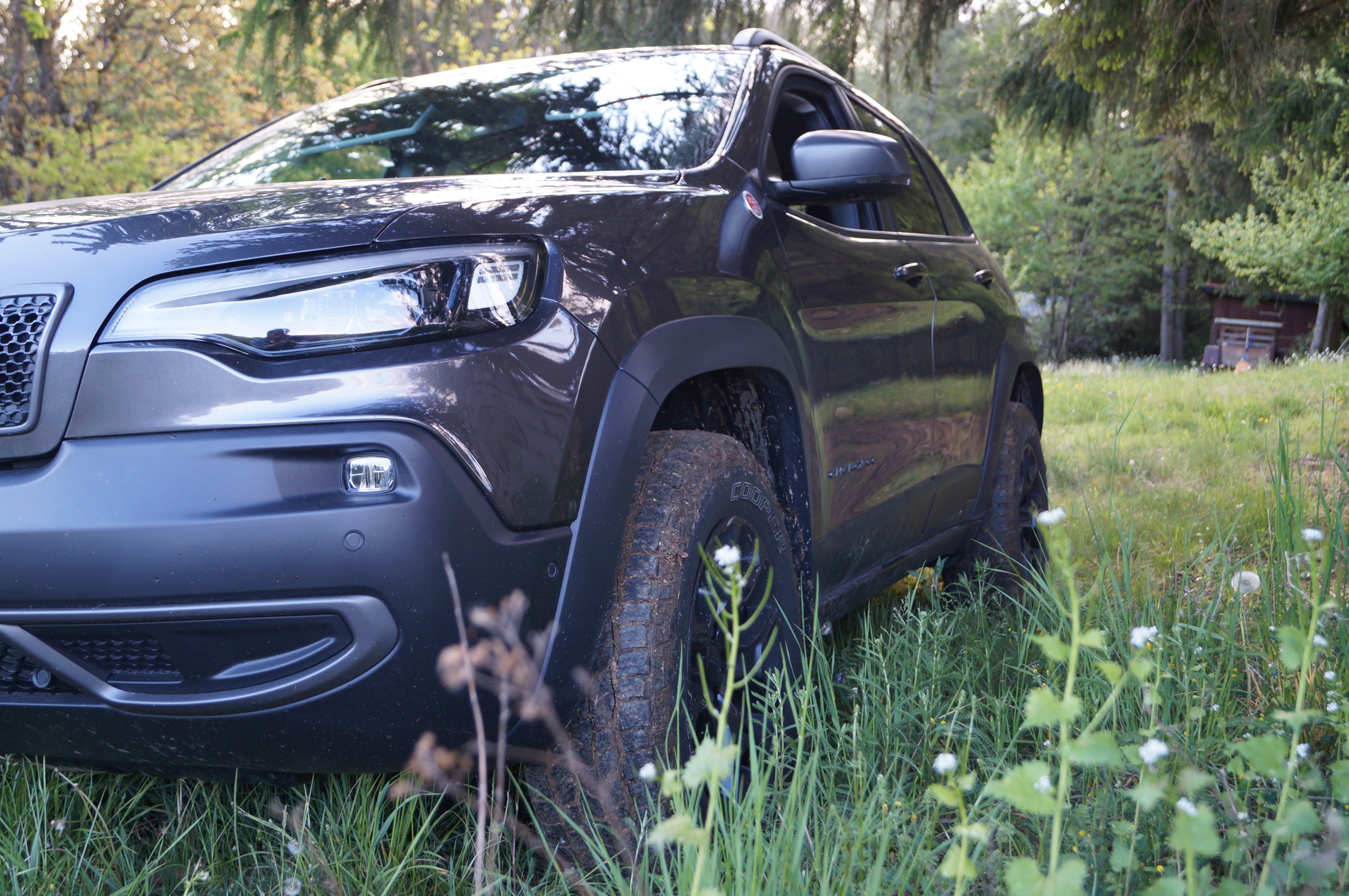 Trailhawk - Fast schon ein Schönling