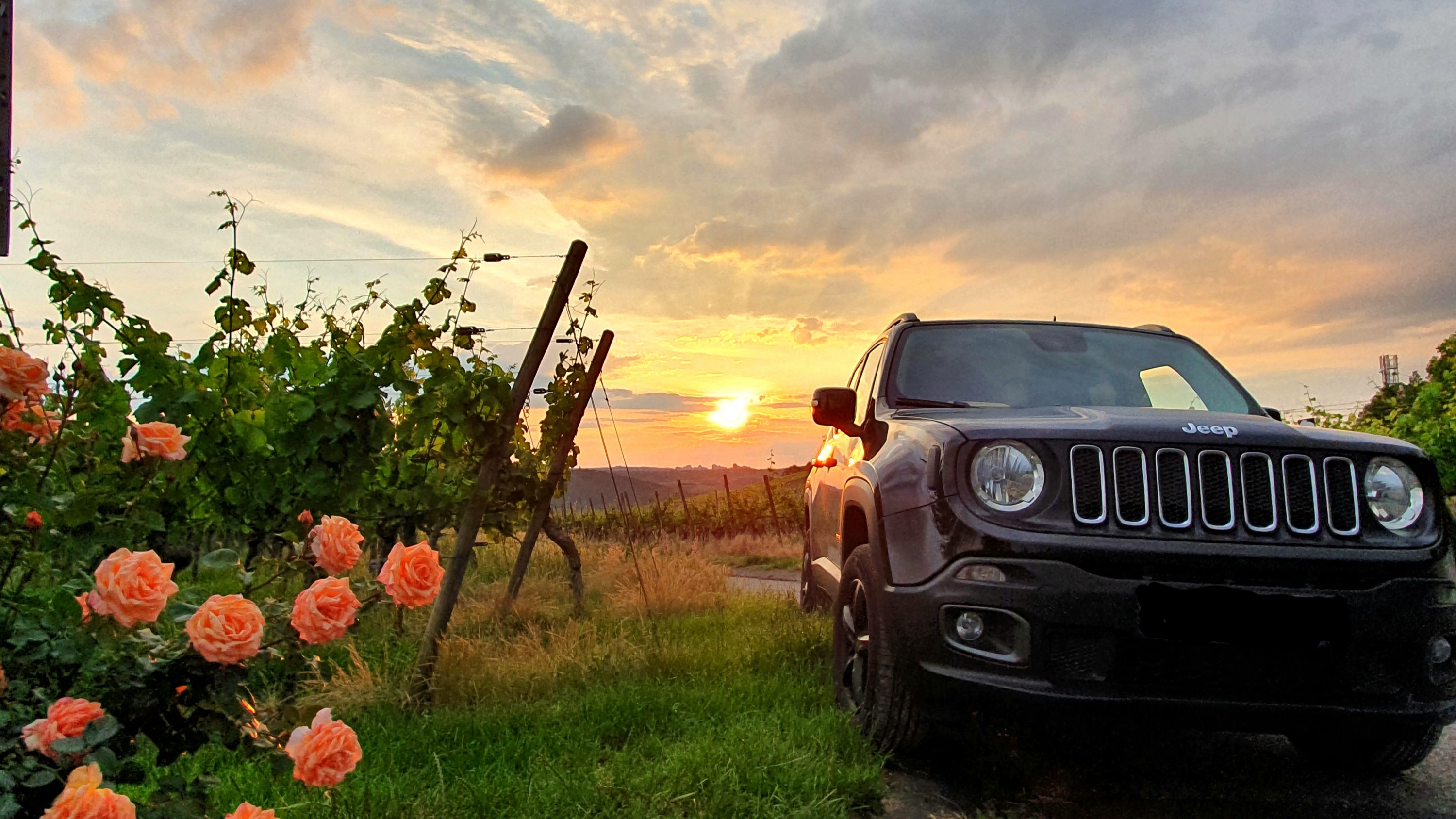 fränkisches Weinland