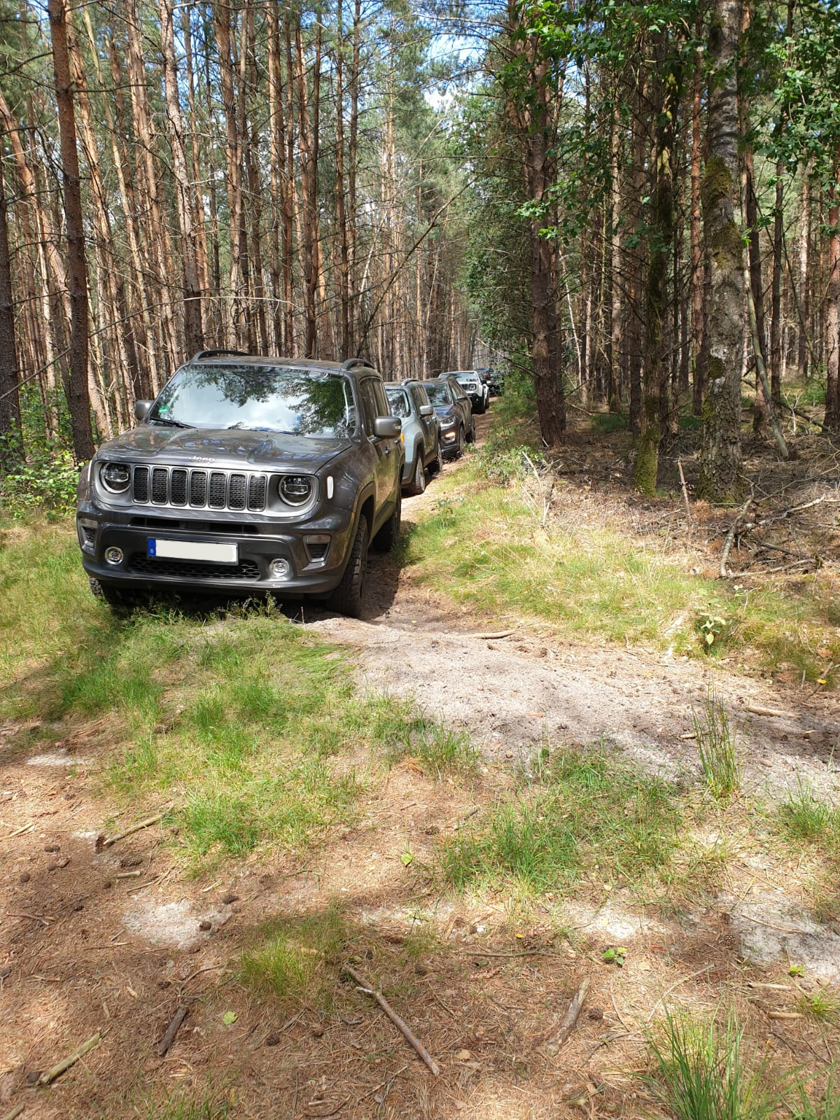 Jeep Experience „Nord Brabant“ ein Zwangsstopp, der Baum muss weg ……