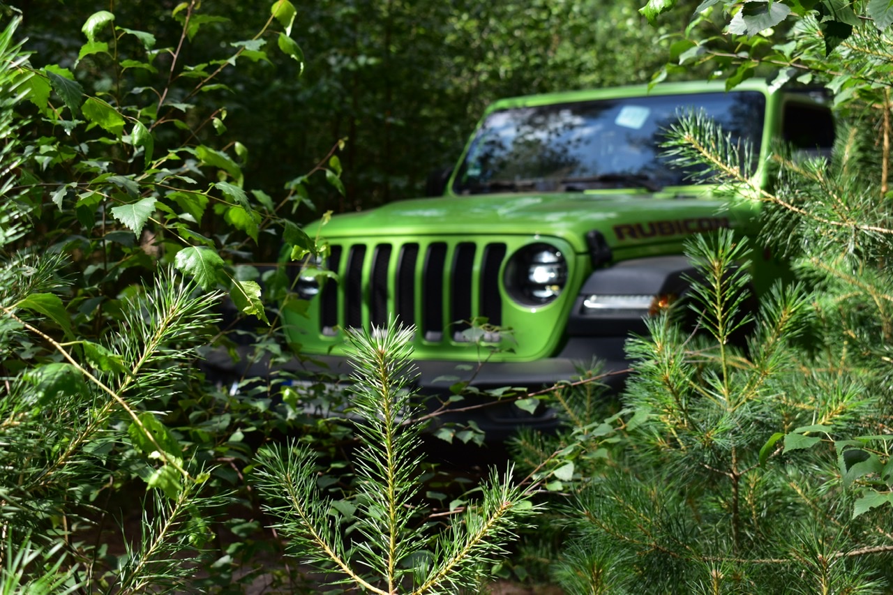 Auf der Pirsch im Brabant
