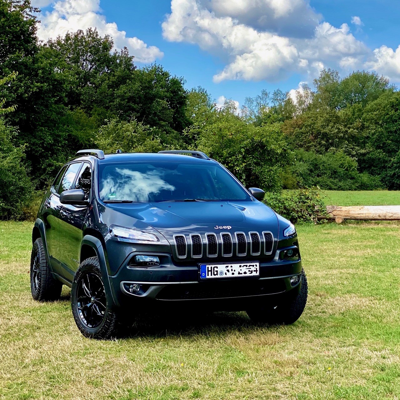 Neulich Draussen am Waldrand.