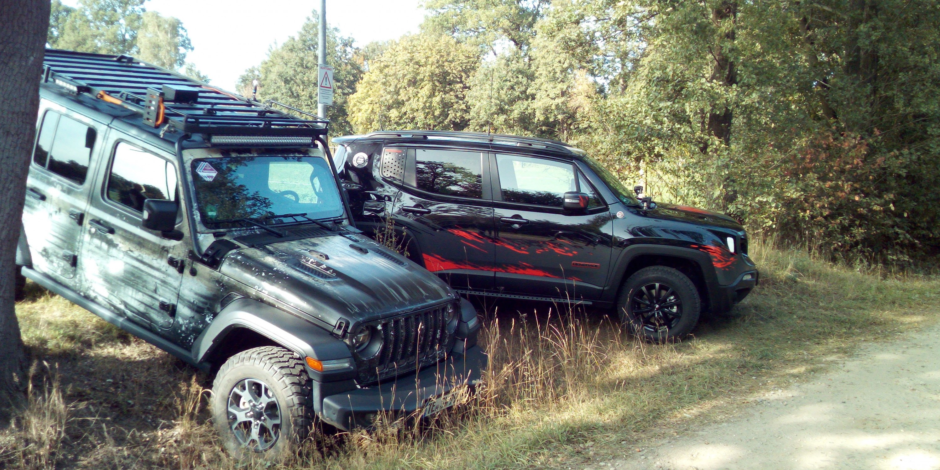 Neuer Kumpel von Freddy