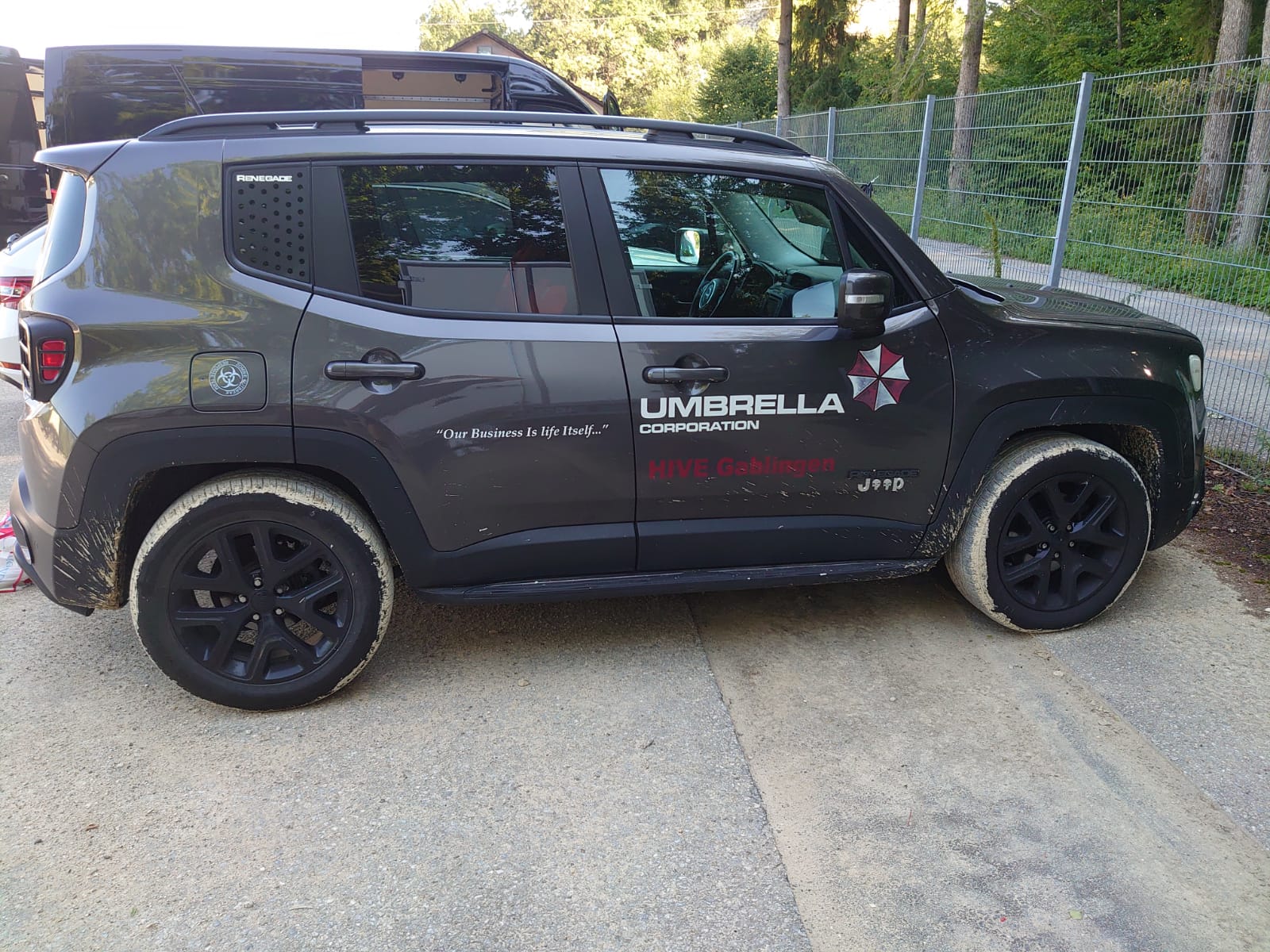 UMBRELLA HIVE AUGSCHBURG