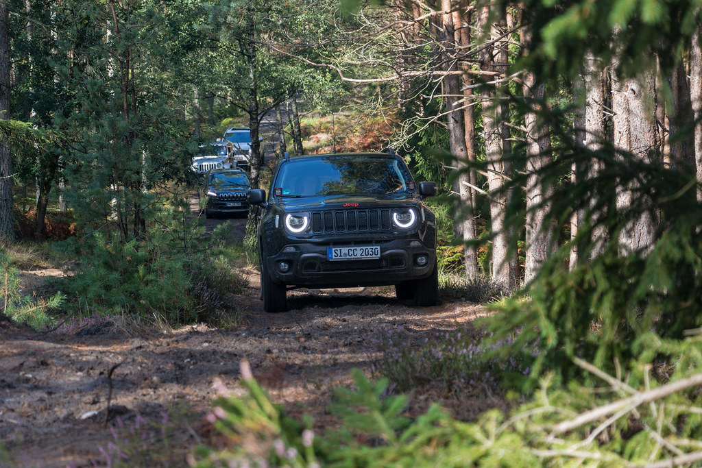 Heide ist auch mal bergig ;-)