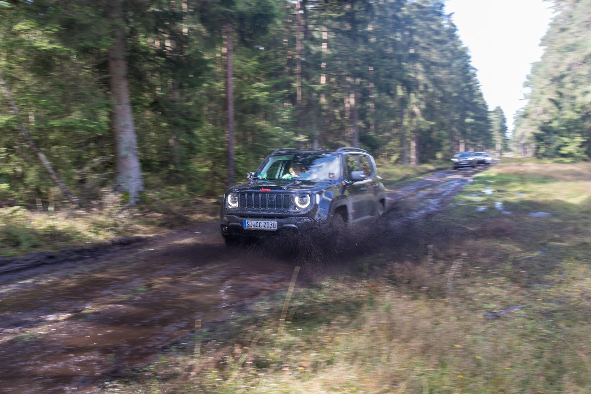 Heide hat aber auch viel Matsch, und das ist auch gut so