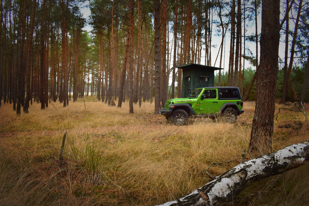 Vorabend zu Horstwalde