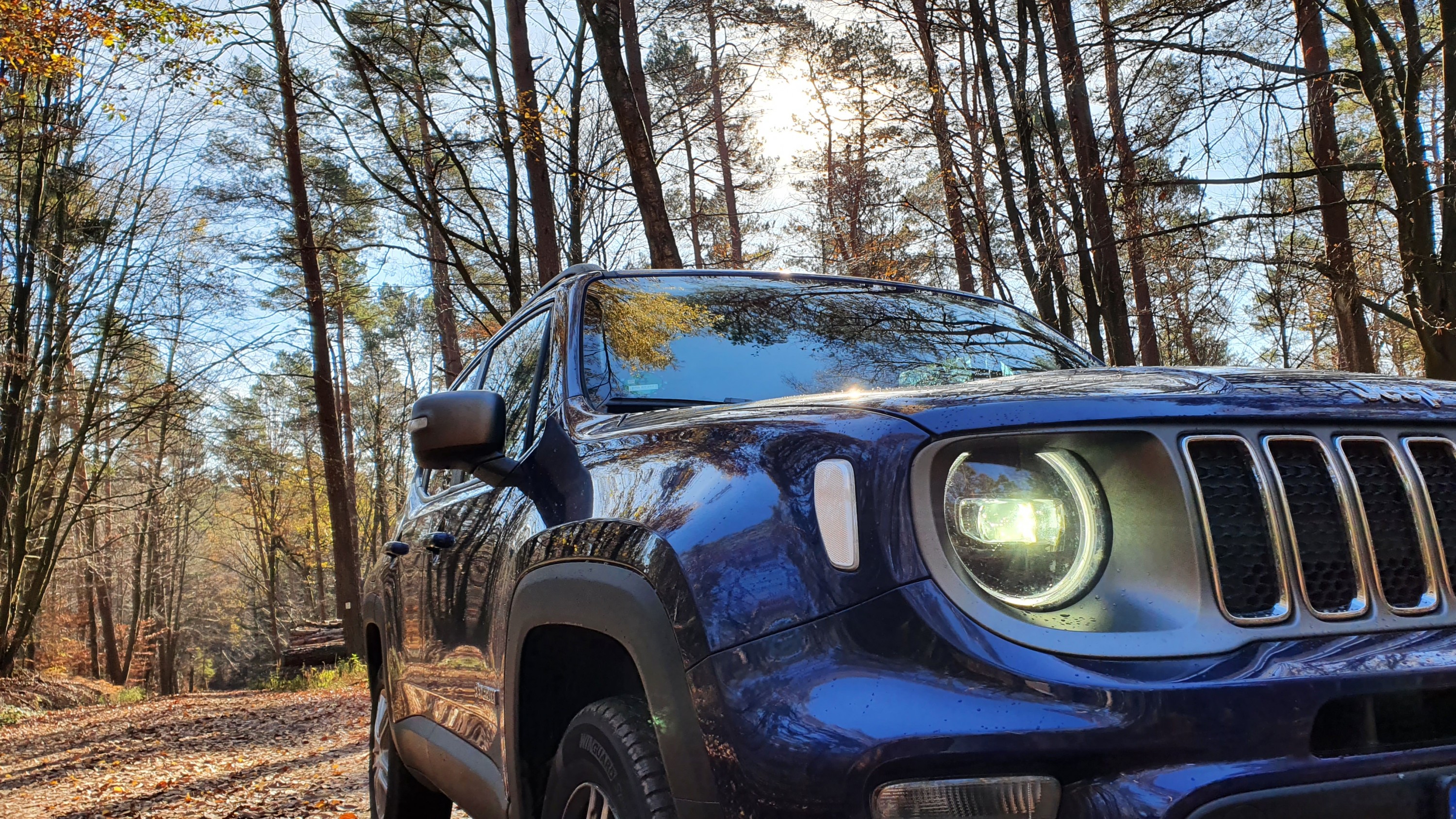 Ich war mal im Wald nach dem Rechten schauen