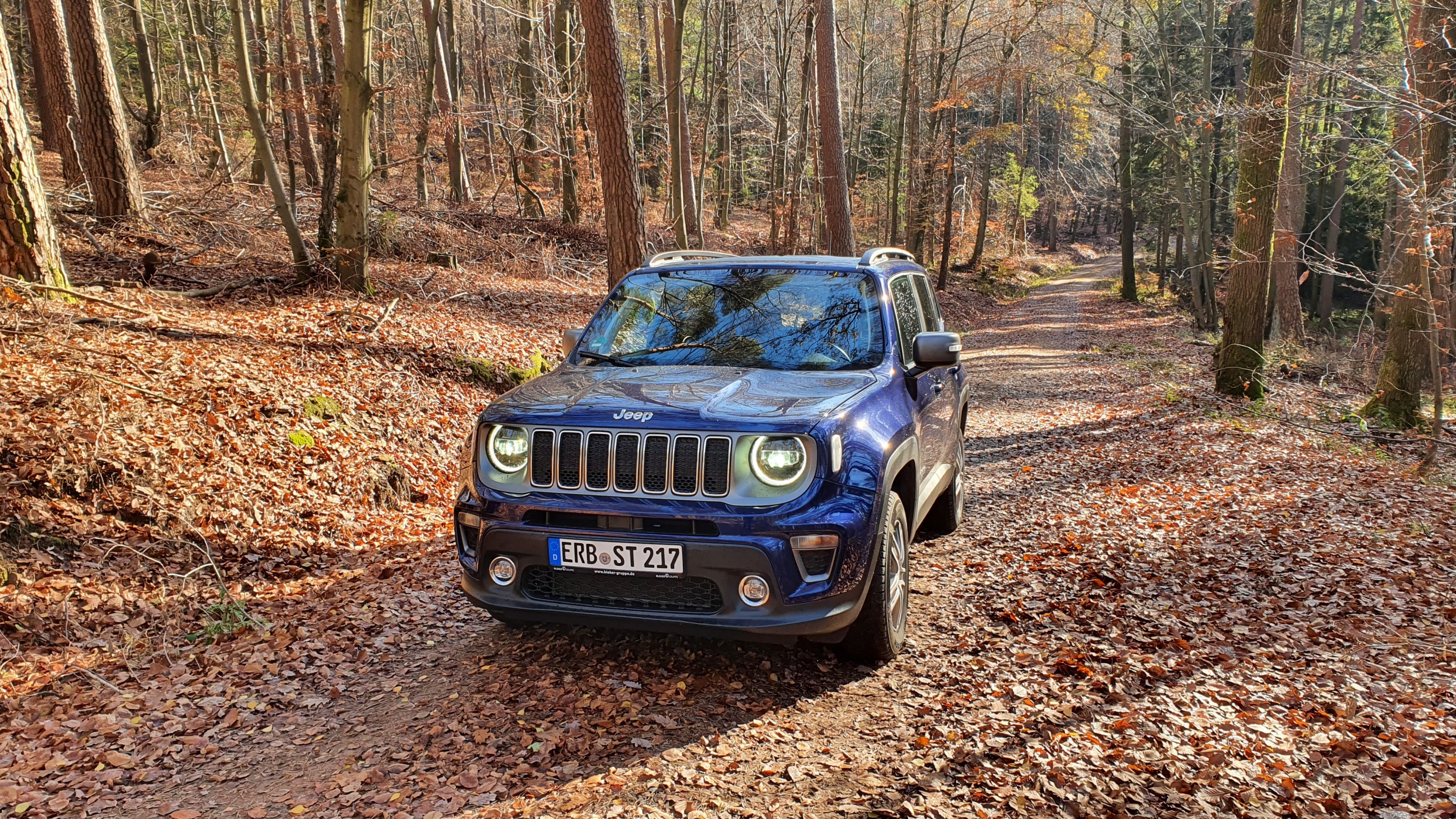 Ich war mal im Wald nach dem Rechten schauen