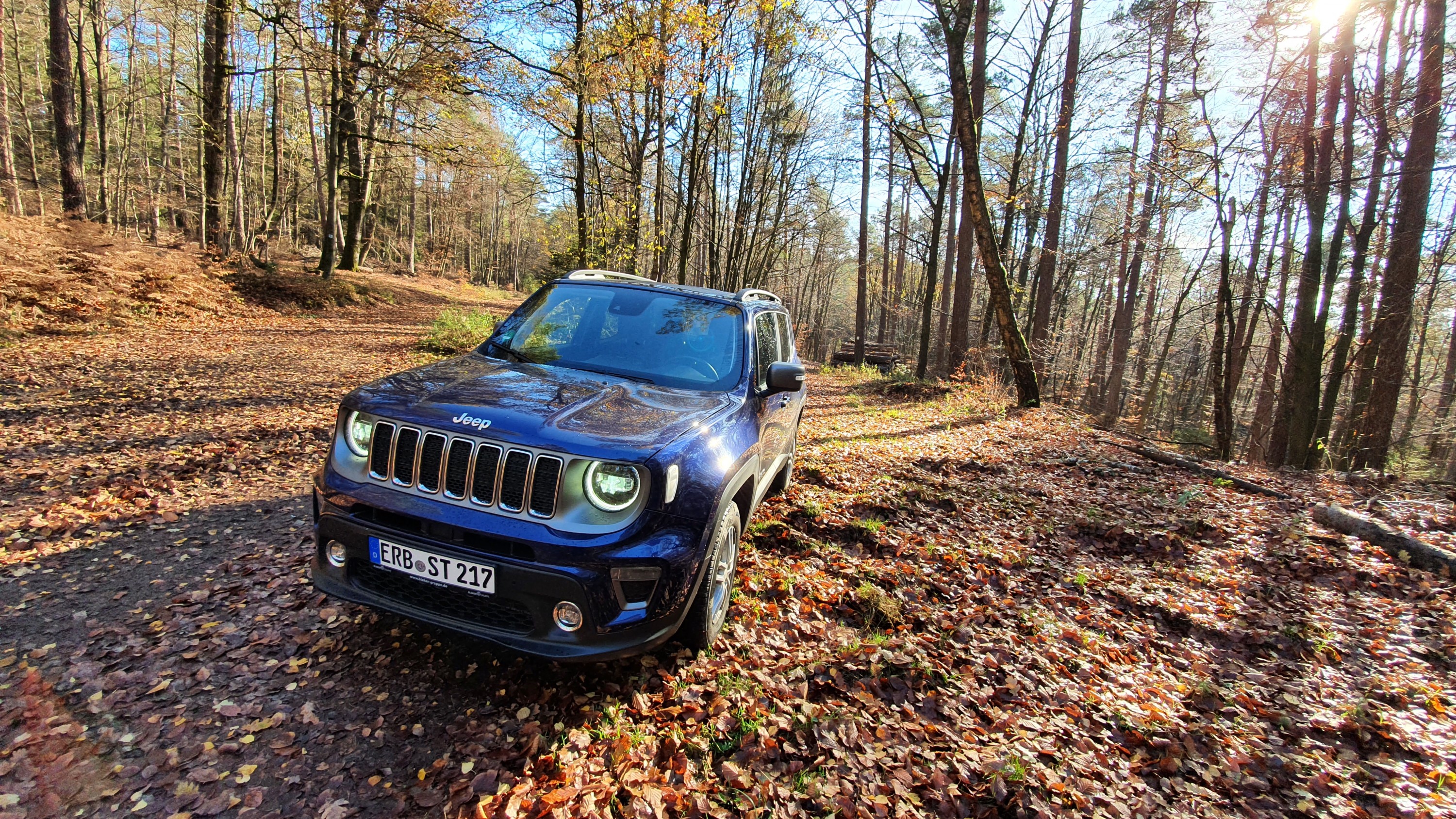 Ich war mal im Wald nach dem Rechten schauen