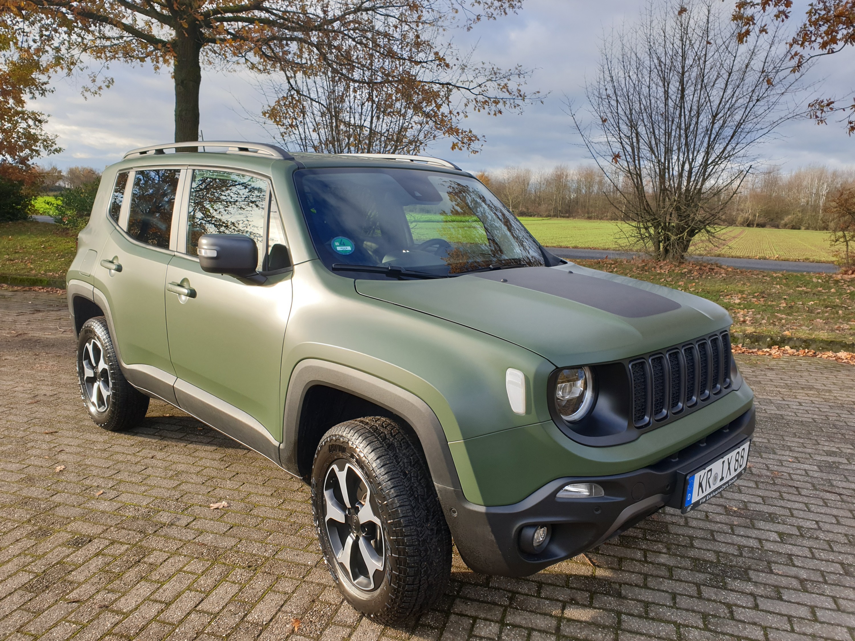 Die Verwandlung von Sting Grey zu Olive Green