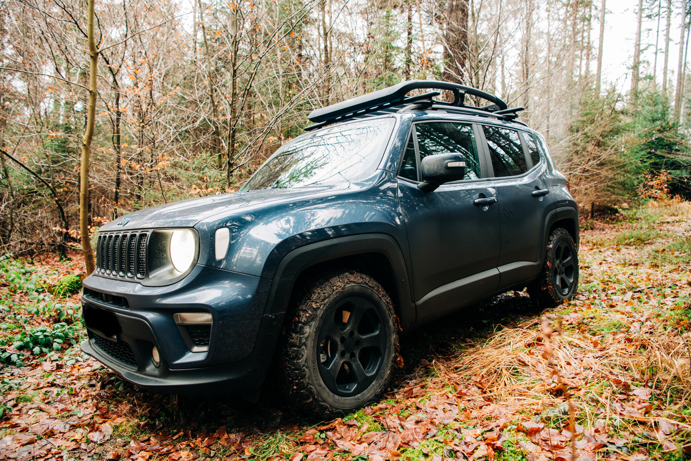 Spätherbst Spaziergang