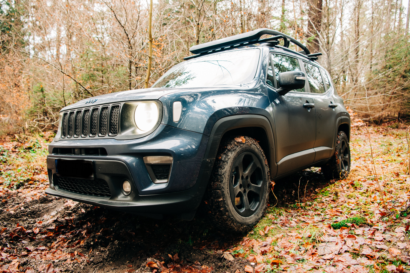 Spätherbst Spaziergang