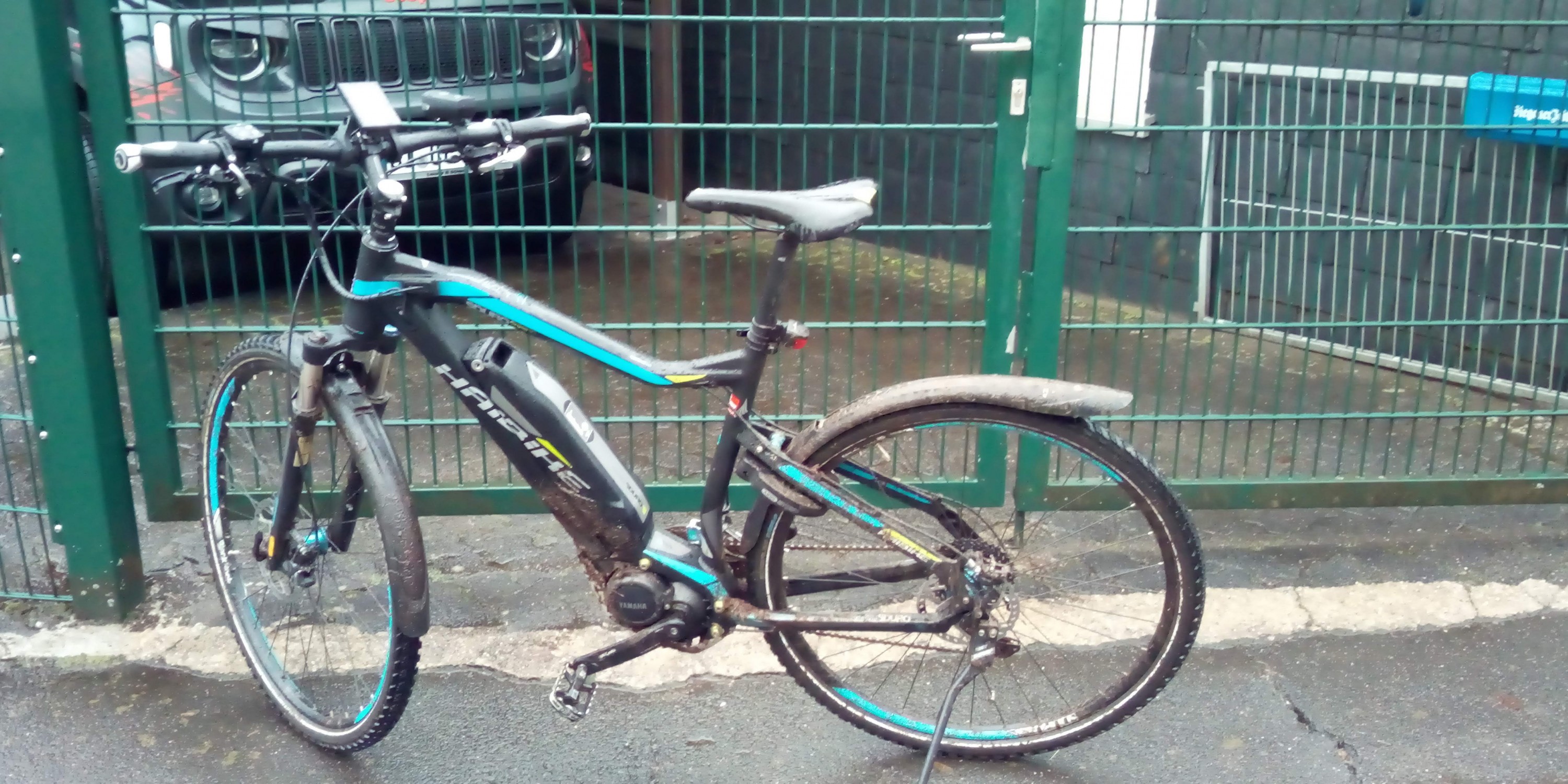 Da schaut jemand verdammt neidisch,.. Auf den Dreck