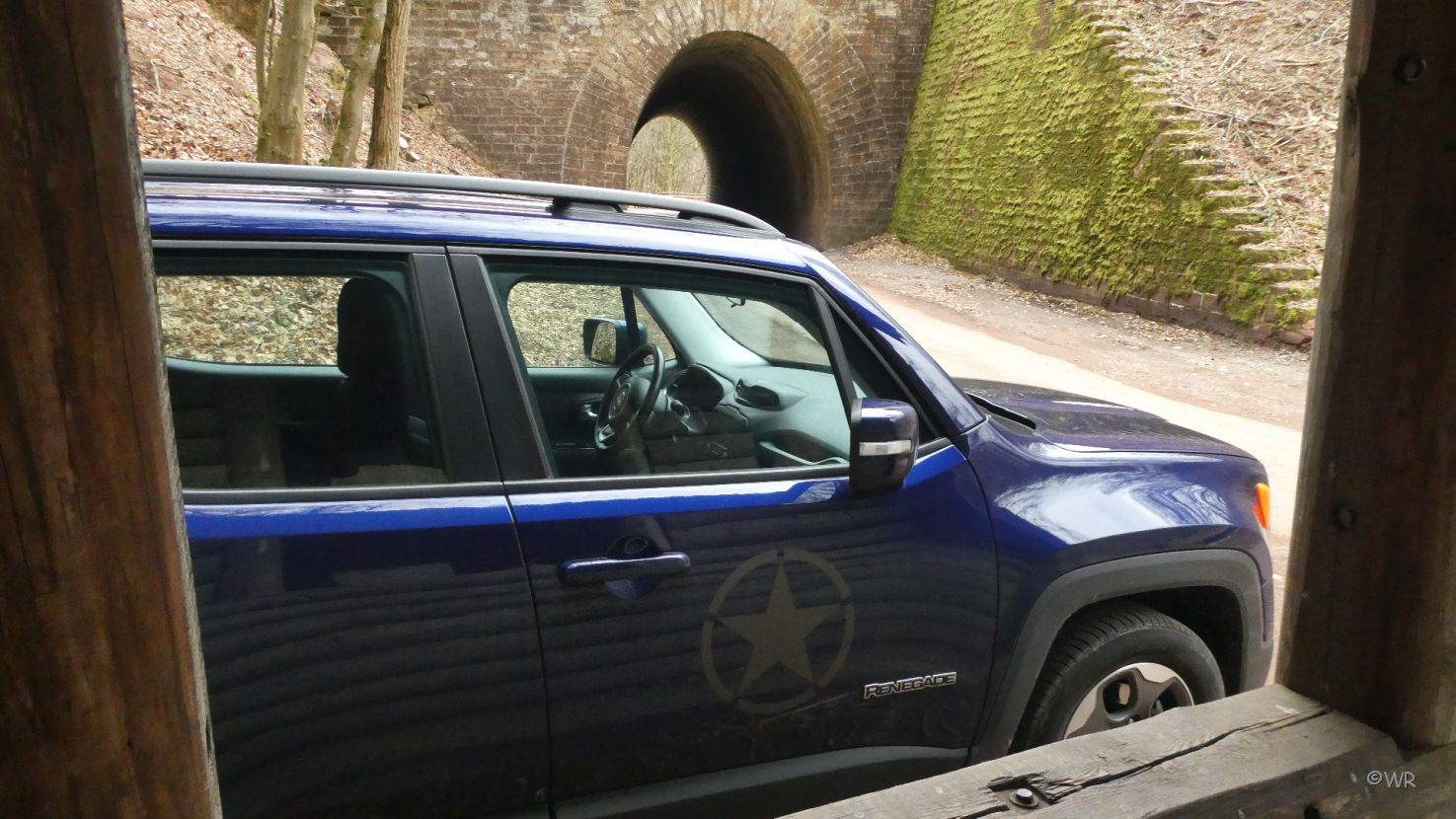 Mein kleiner blauer Reni