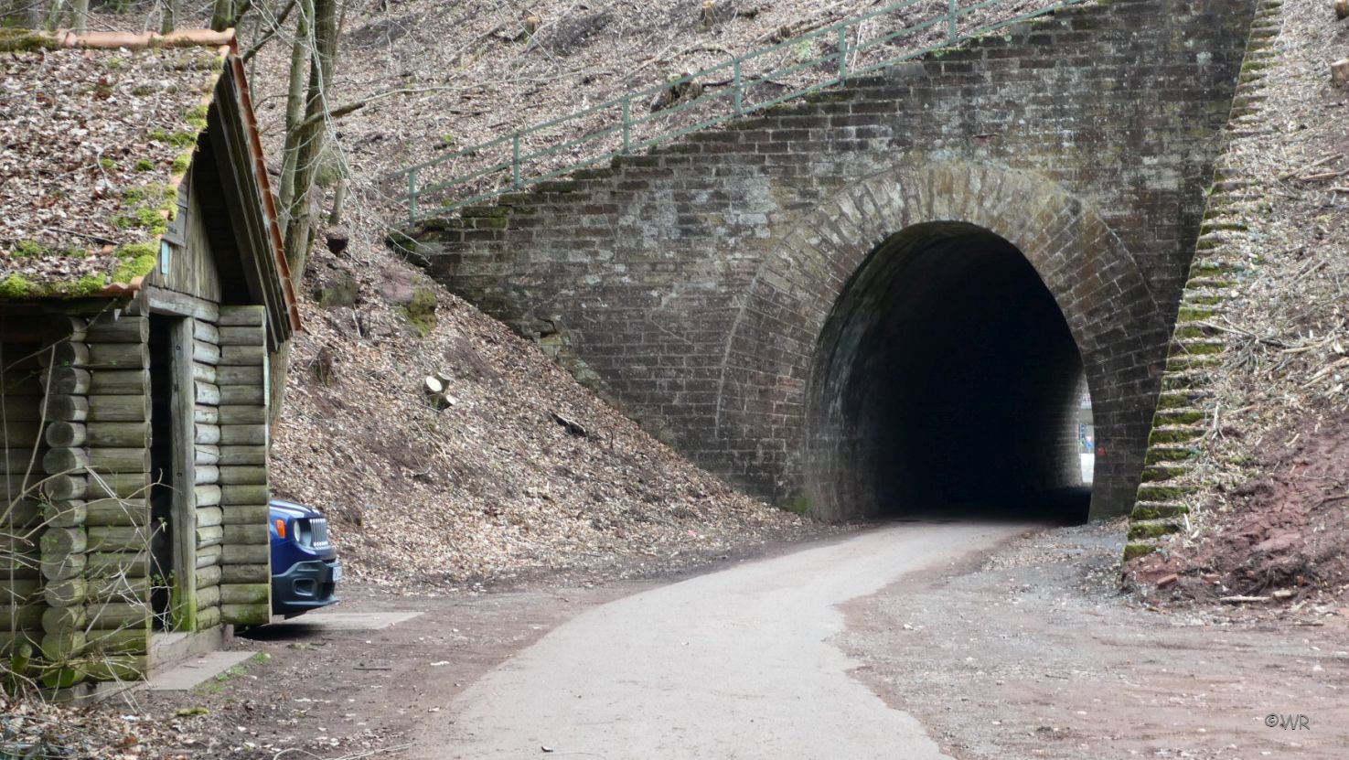 Mein kleiner blauer Reni