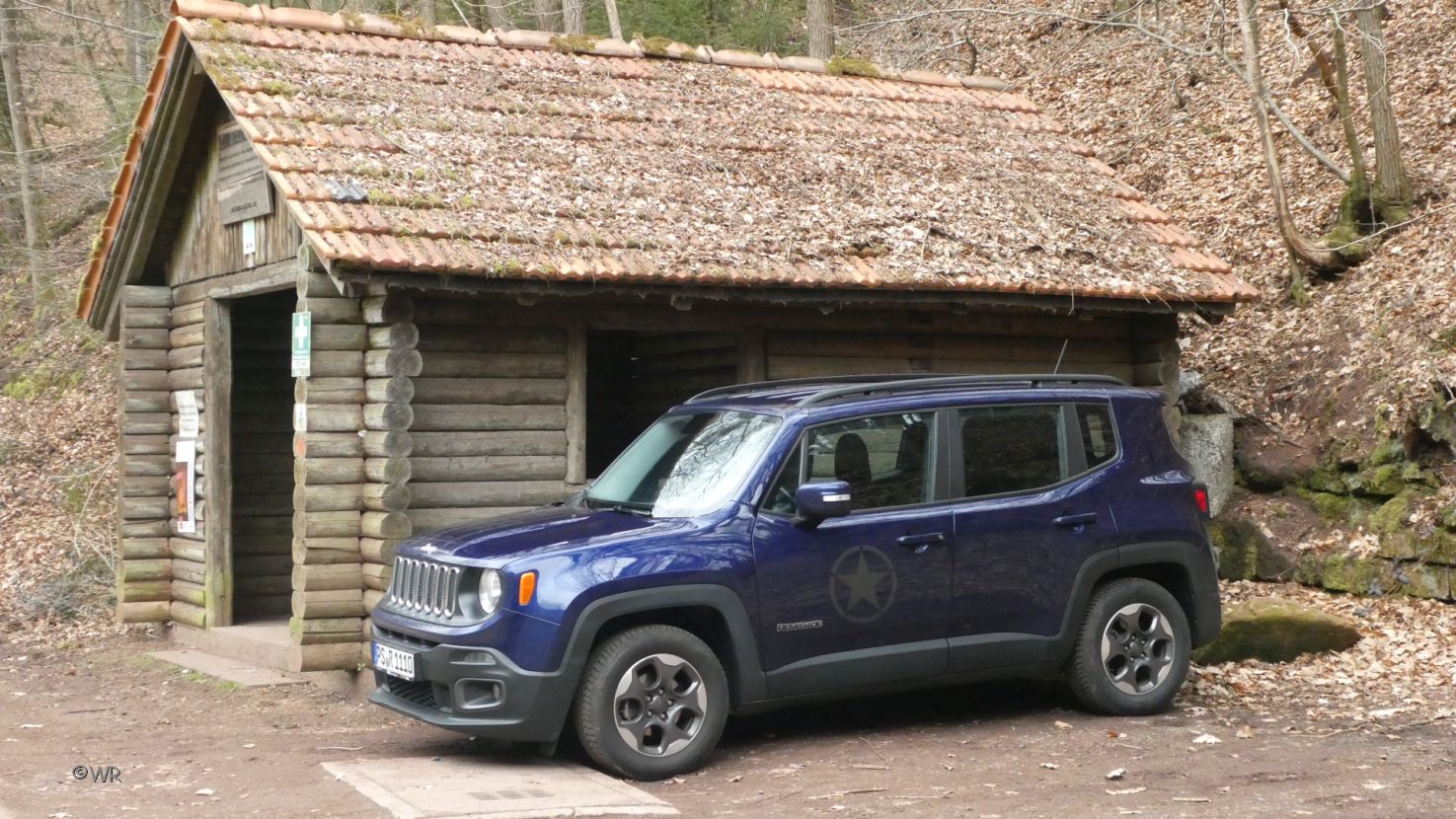 Mein kleiner blauer Reni