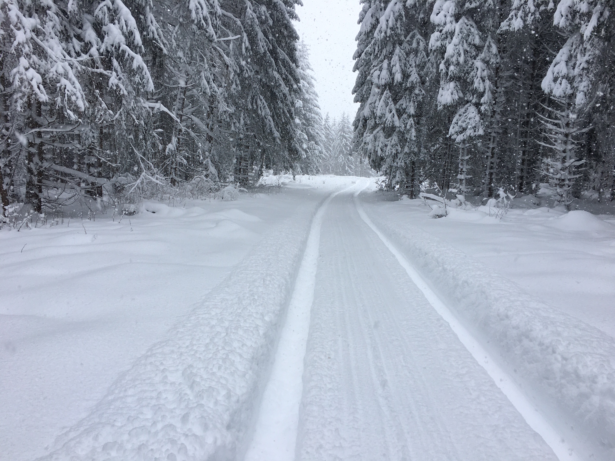 Und hinterher sieht es so aus :-)