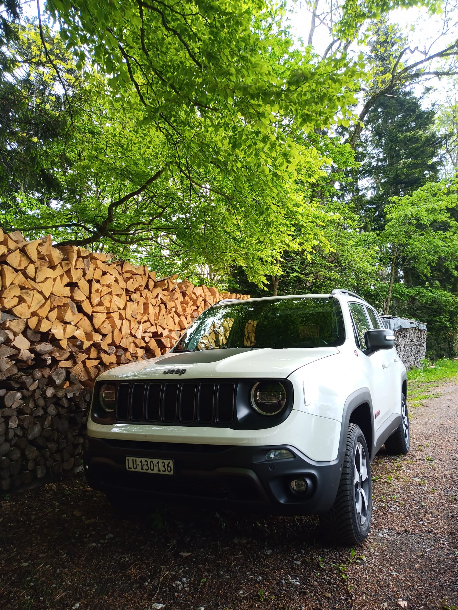 Im Wald unterwegs :-)