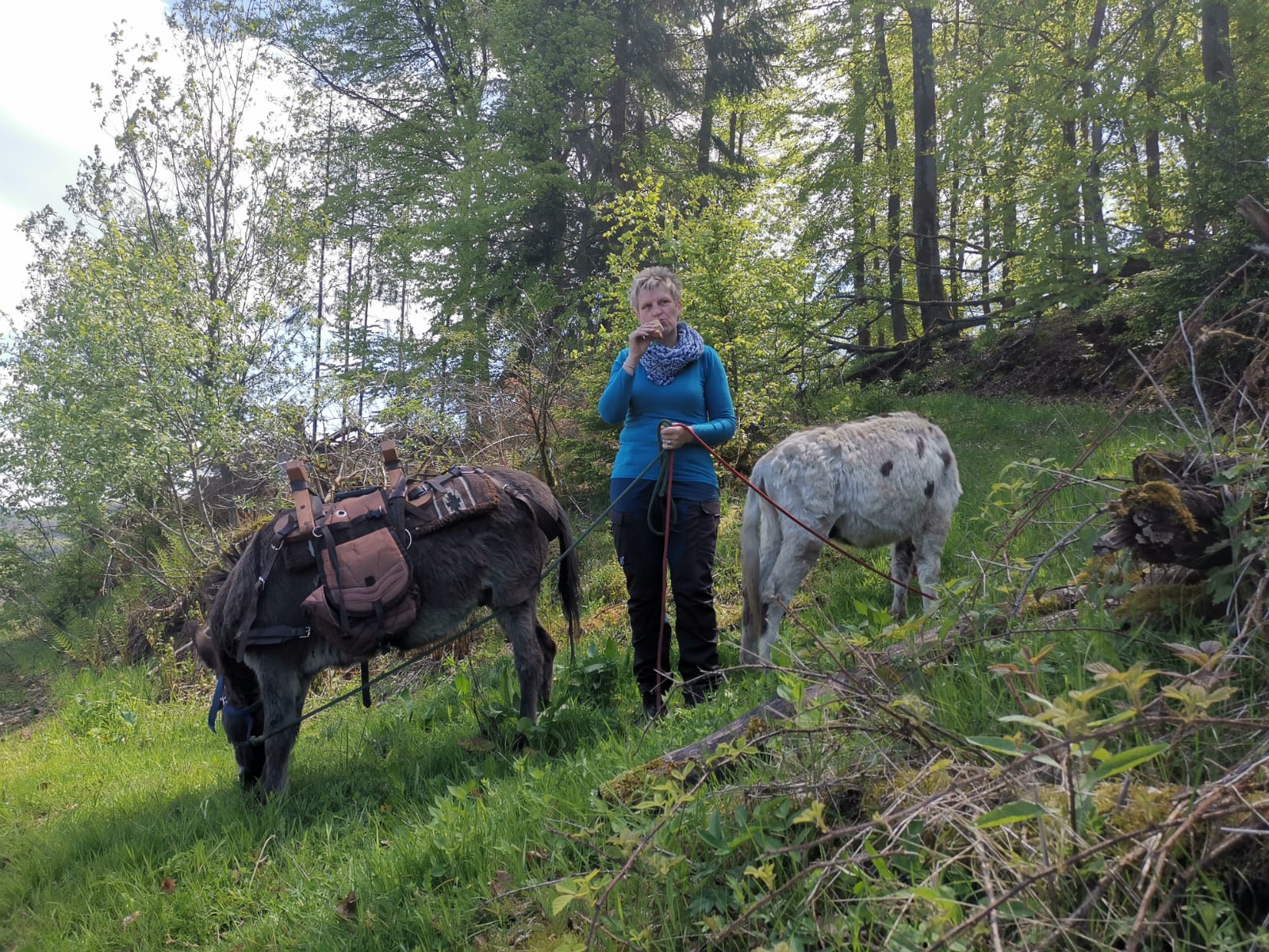 Offroad mal anders 2 x 4WD