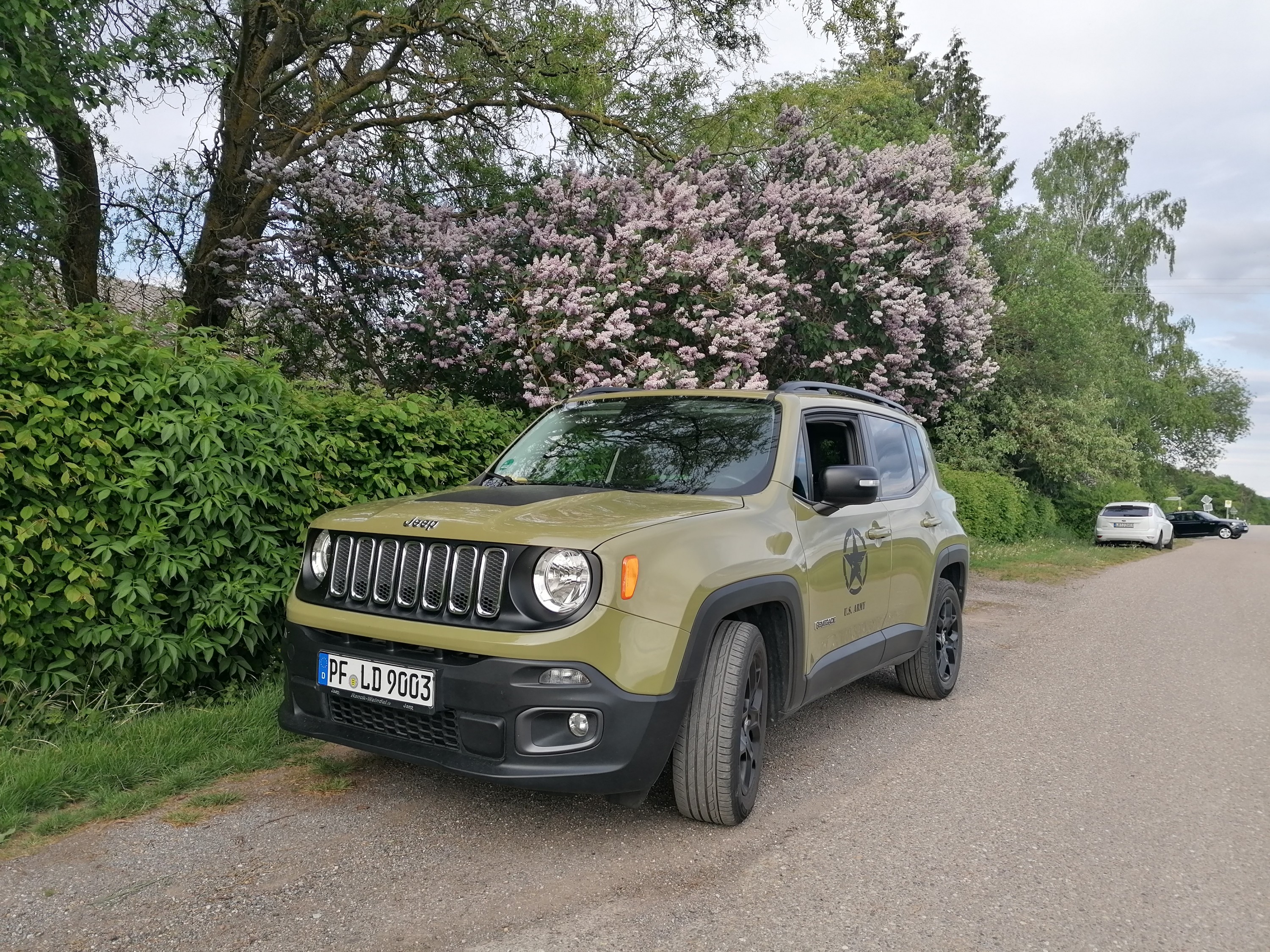 Grill, Dachreling und Spiegel schwarz matt lackiert