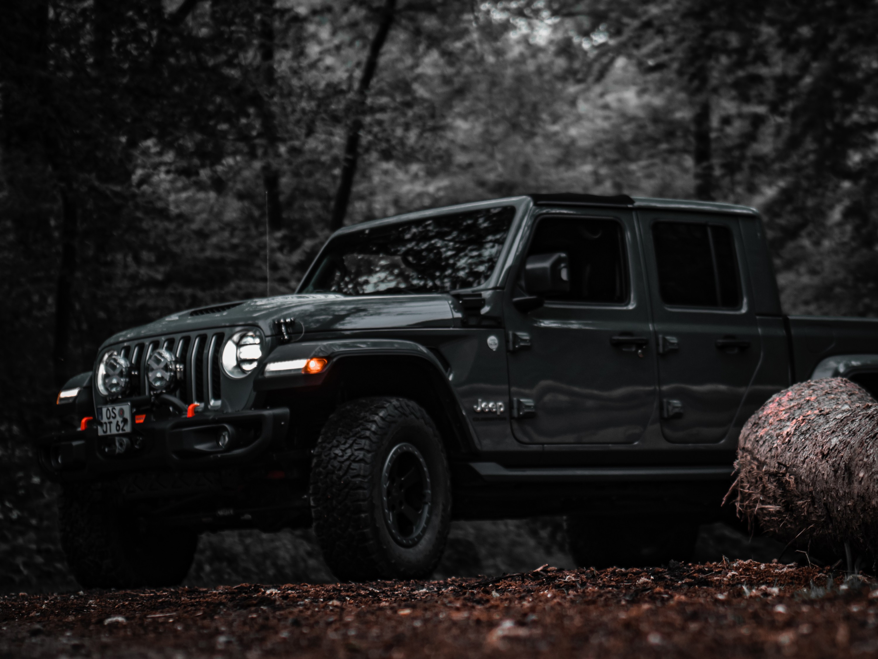 Er ist schüchtern...