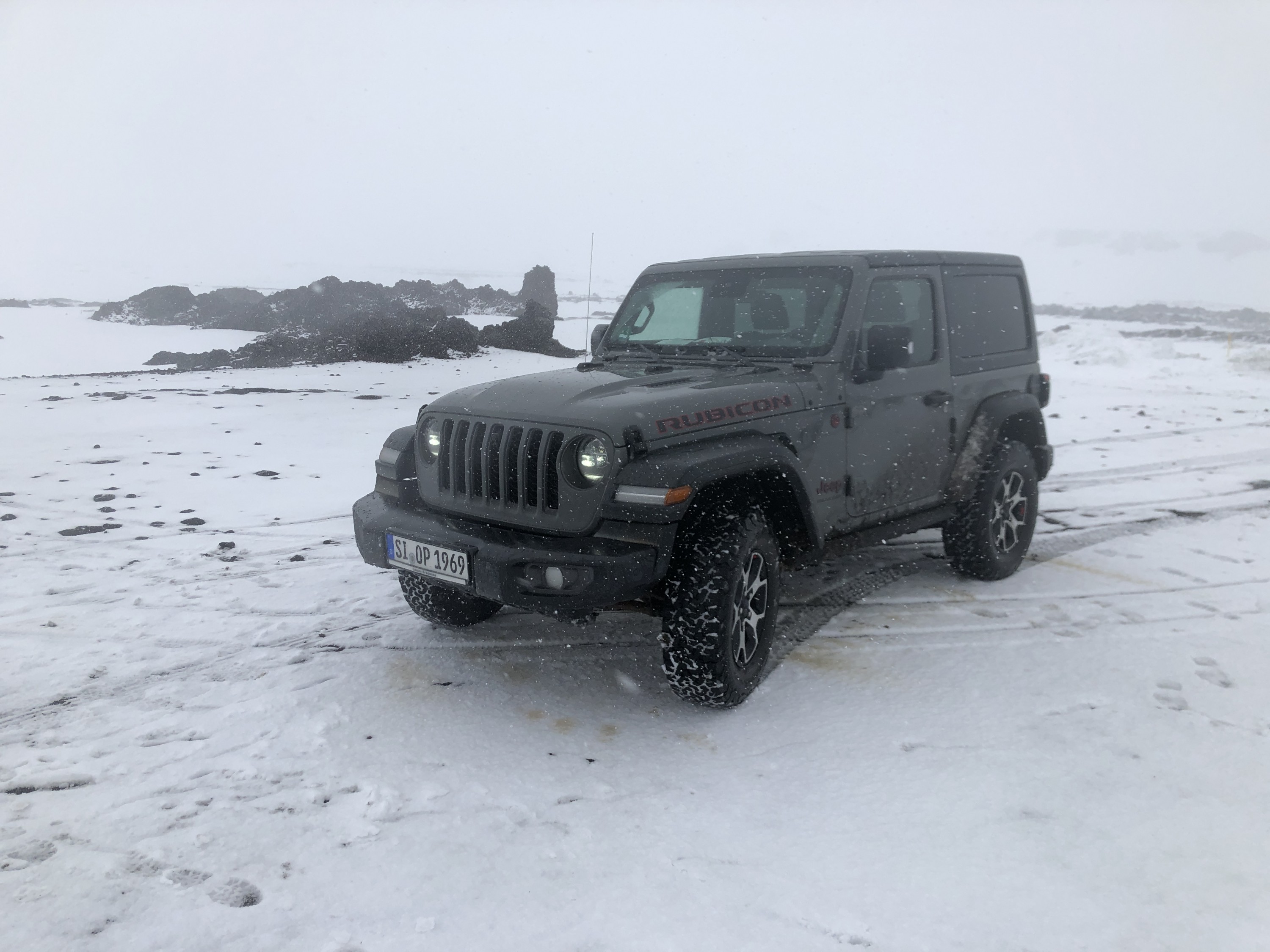 Artgerechte Haltung in Island