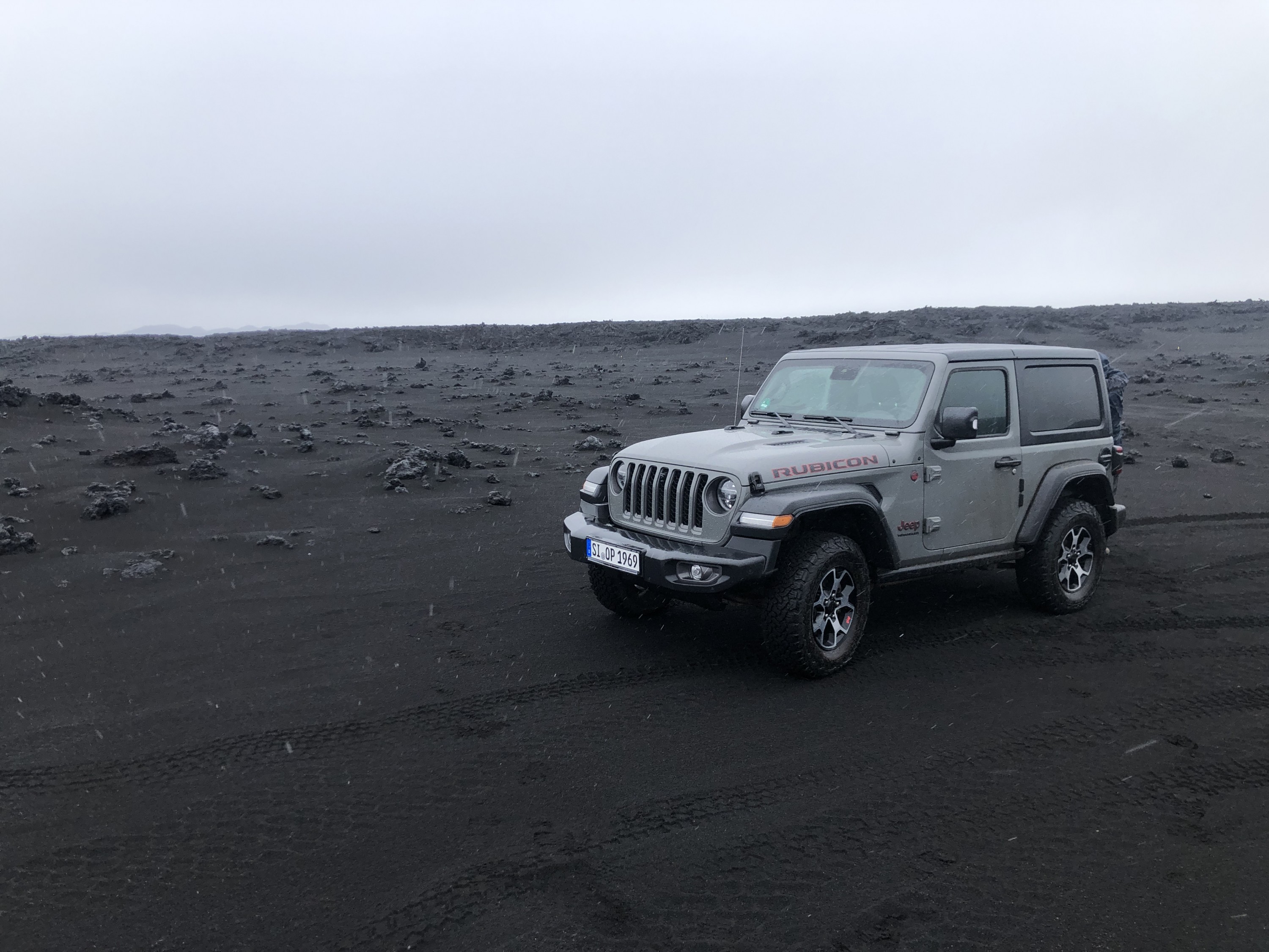 Artgerechte Haltung in Island