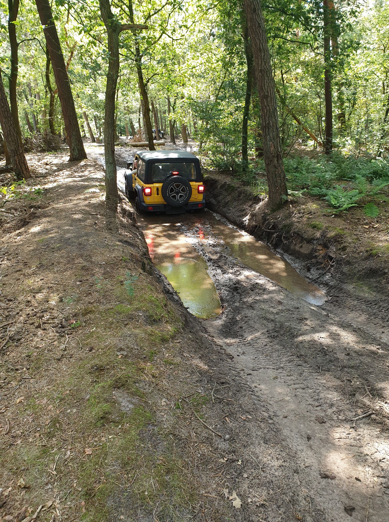 Jeep Experience - LandsArd / Dutch Everglades 23.07.22