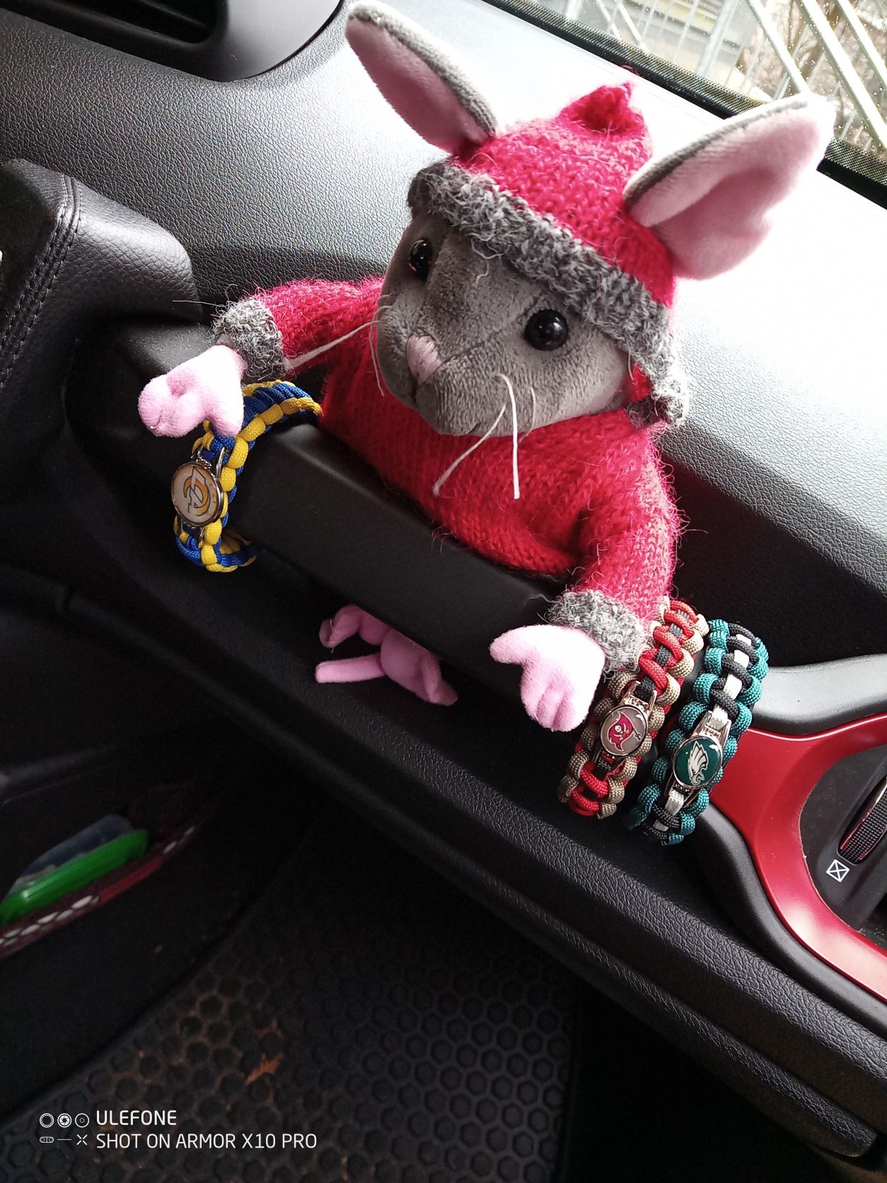 Freddy im Football Fieber