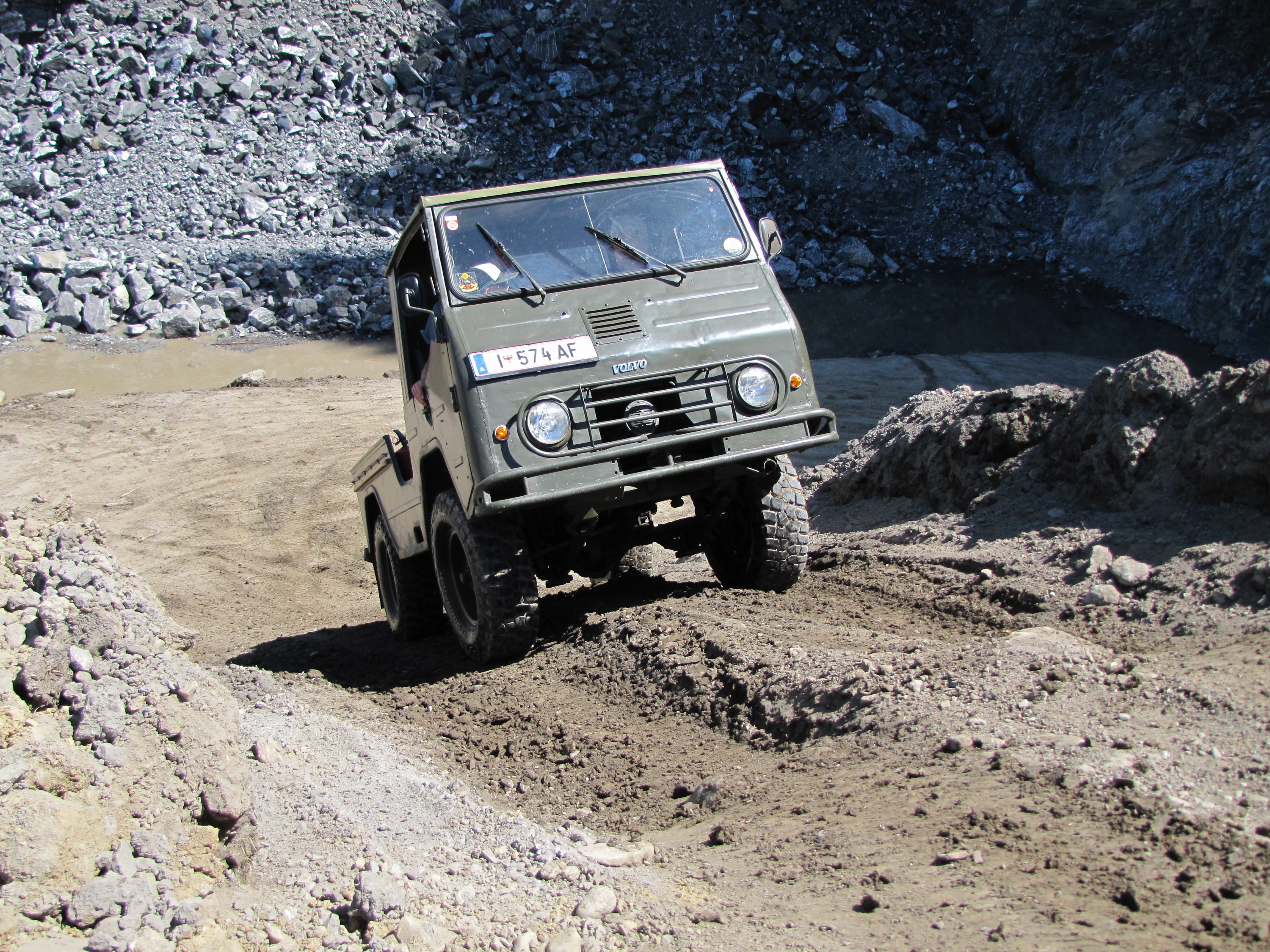 freies Fahren - Pinzgauer bei artgerechter Haltung