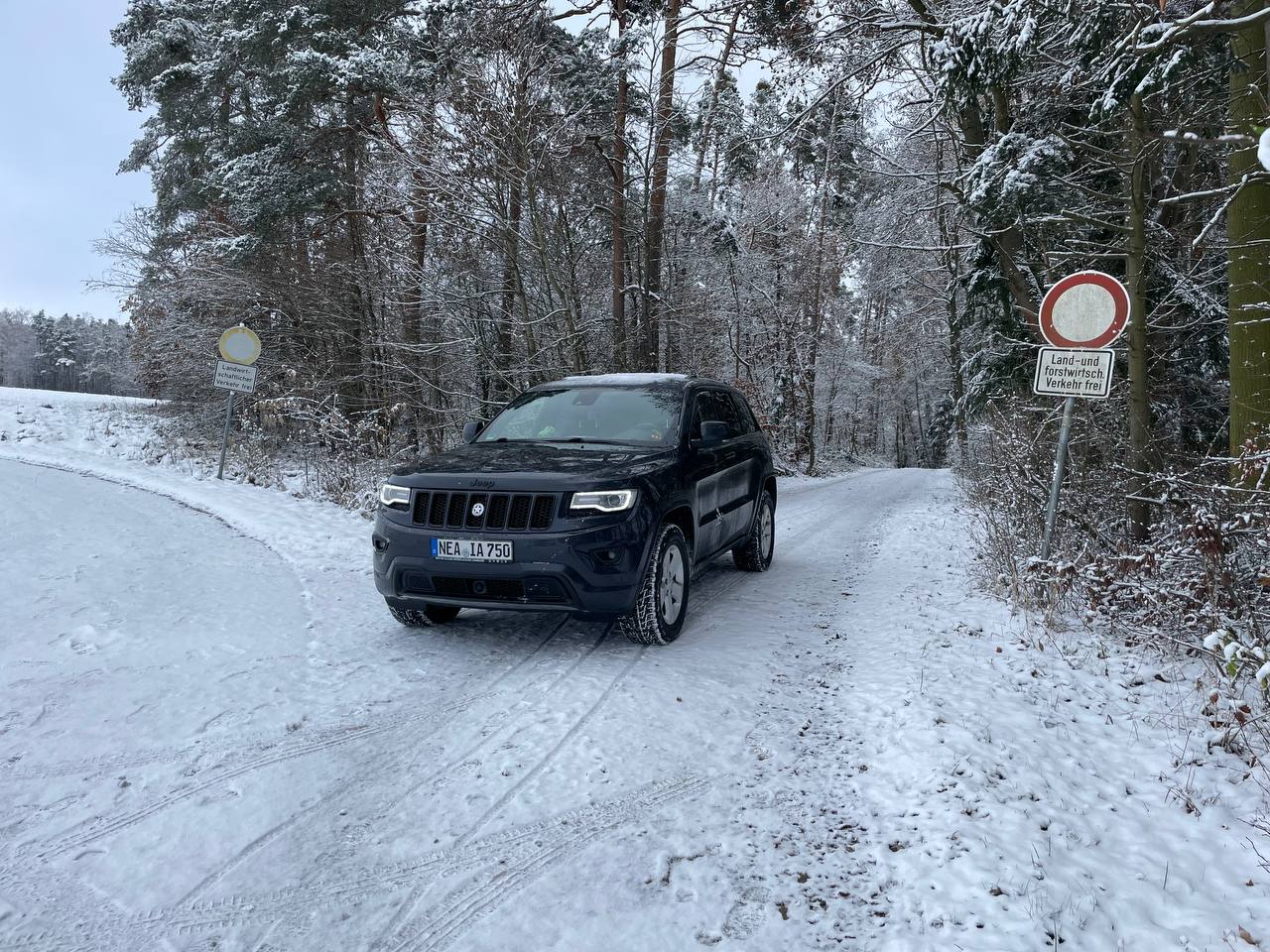 Von draußen, vom Walde komm ich her... - 2023