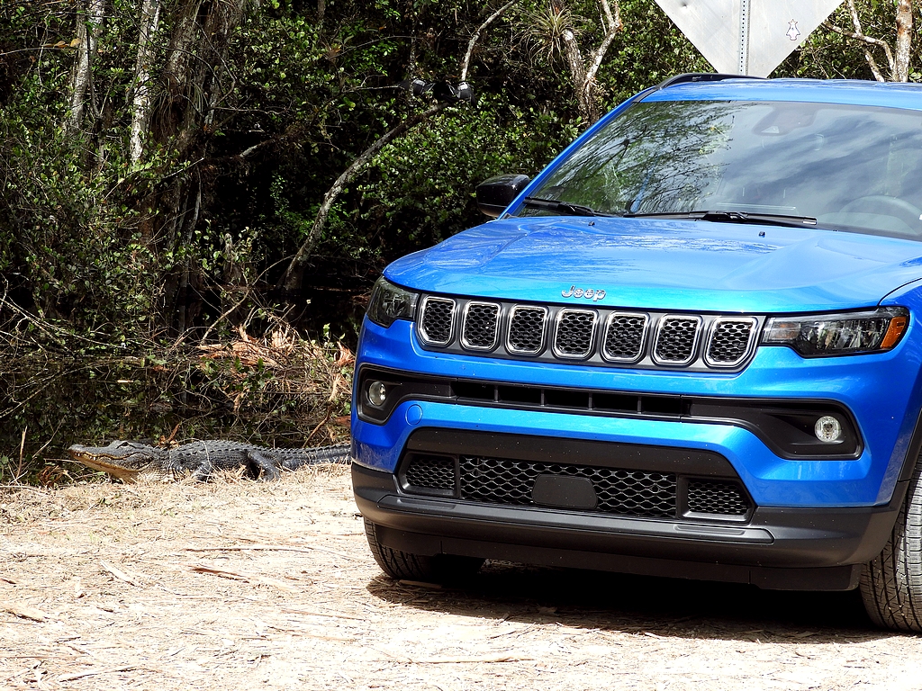 See You Later Alligator