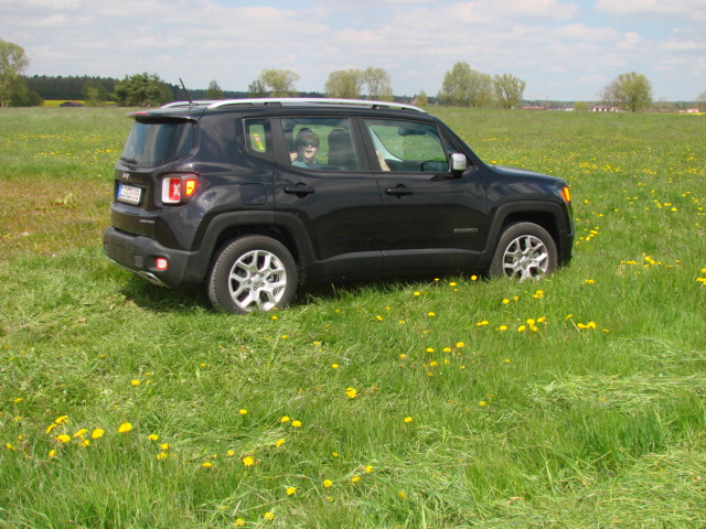 Gammler  - Rennie Limited, Sicht, Leder, Navi 6,5", AHK (selfdoing) und mit "ohne"  Schiebedach, 6 manuelle Gängchen !