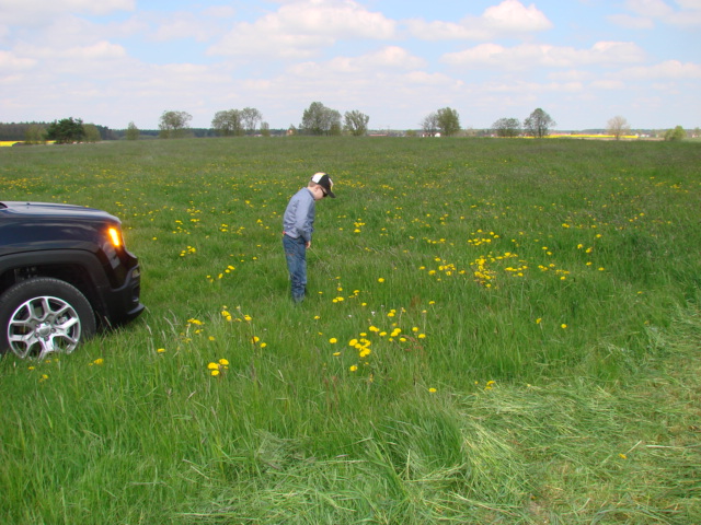 Gammler  - Rennie Limited, Sicht, Leder, Navi 6,5", AHK (selfdoing) und mit "ohne"  Schiebedach, 6 manuelle Gängchen !