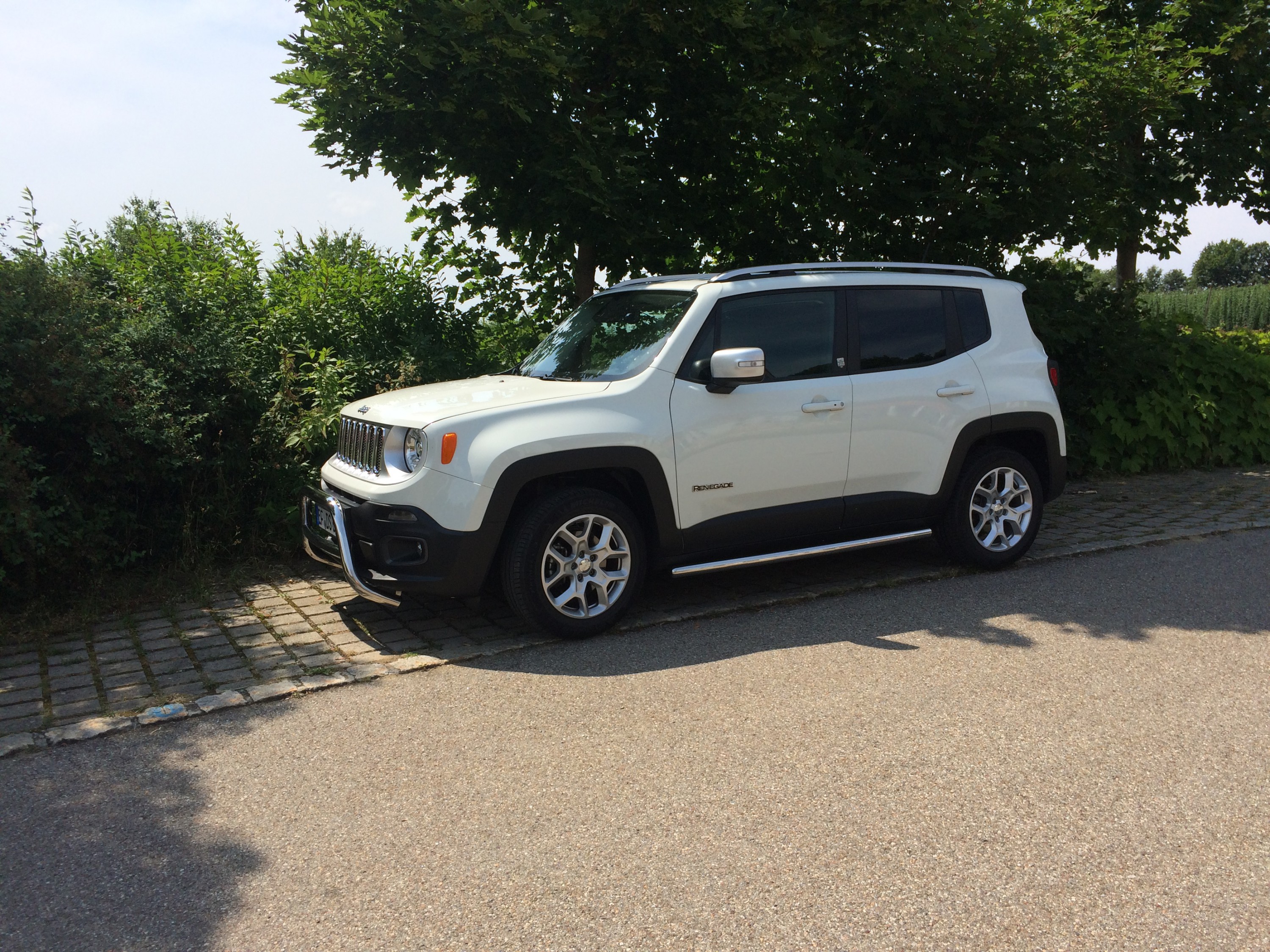 Frontbügel und Trittbretter