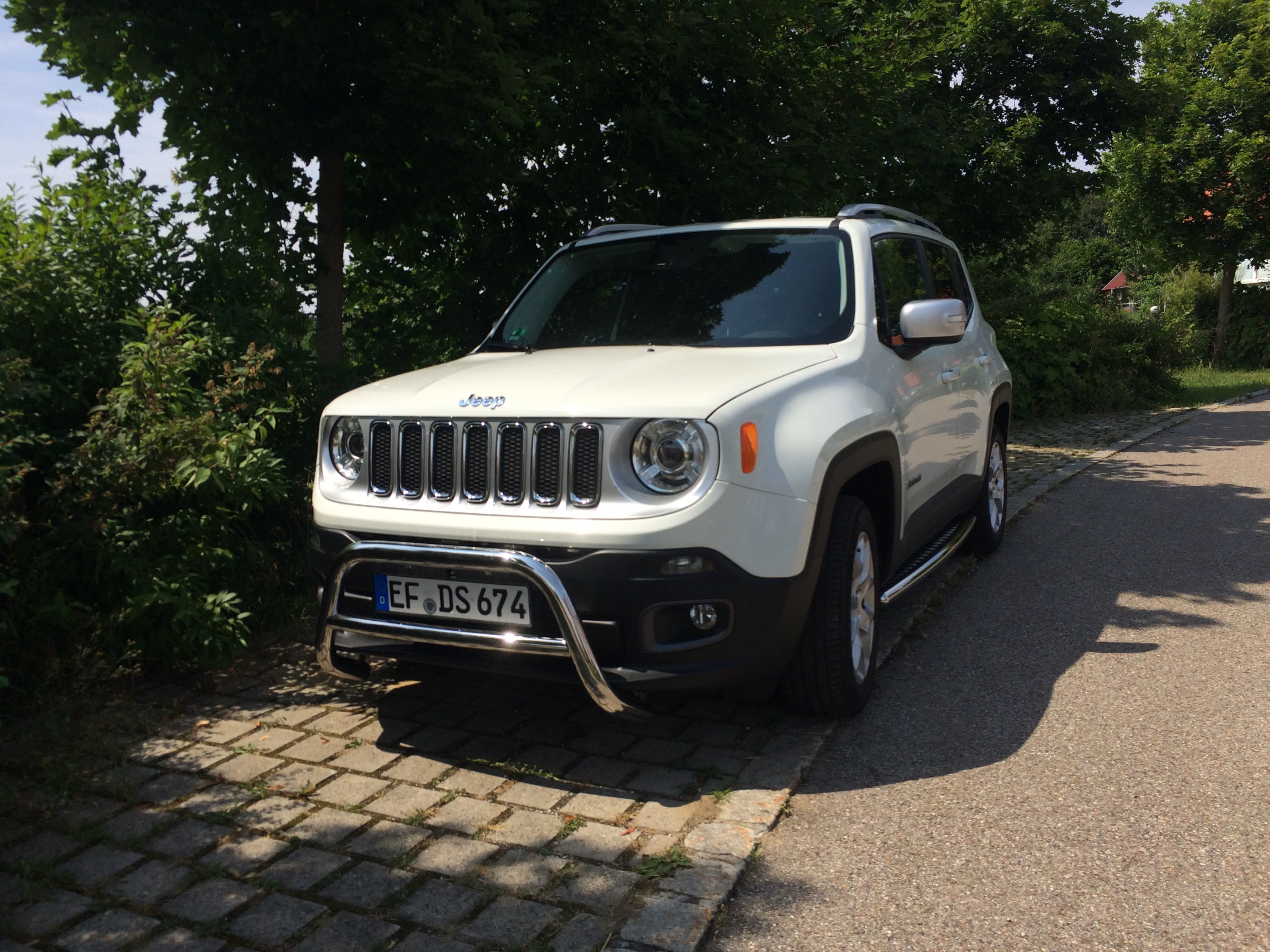 Frontbügel und Trittbretter