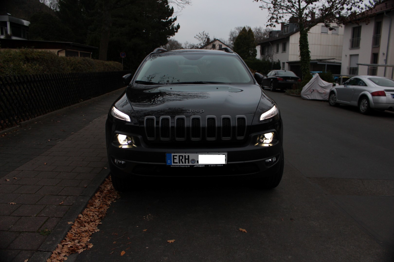 Trialhawk jeepsterfranken