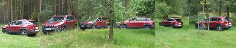 6 Mike spielt auf der Wiese