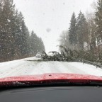 Bisschen Holz gefällig ?