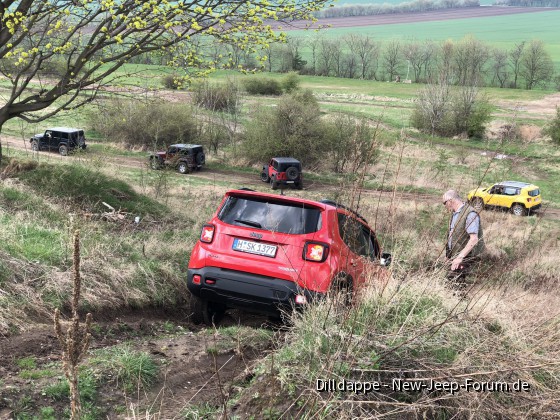 Jeep Training Ballenstedt