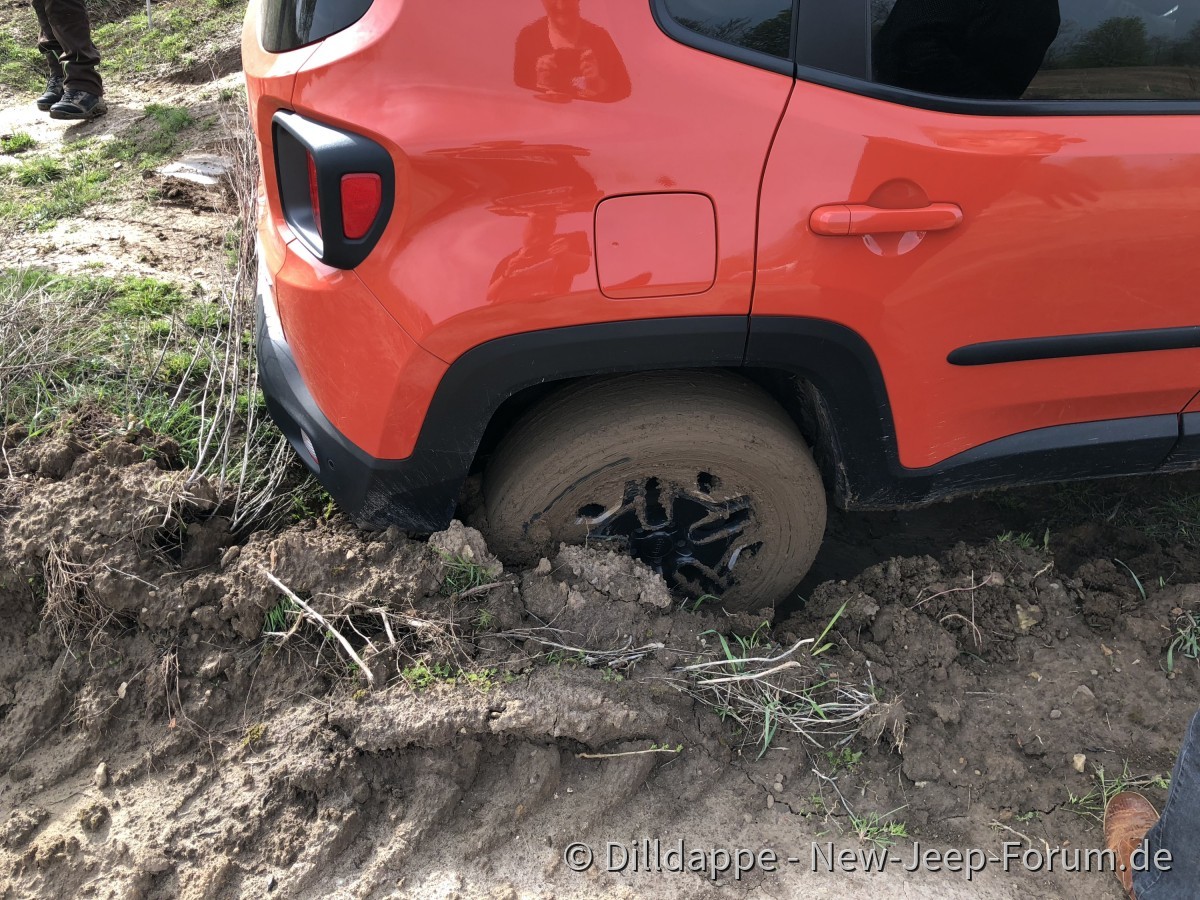 Jeep Training Ballenstedt