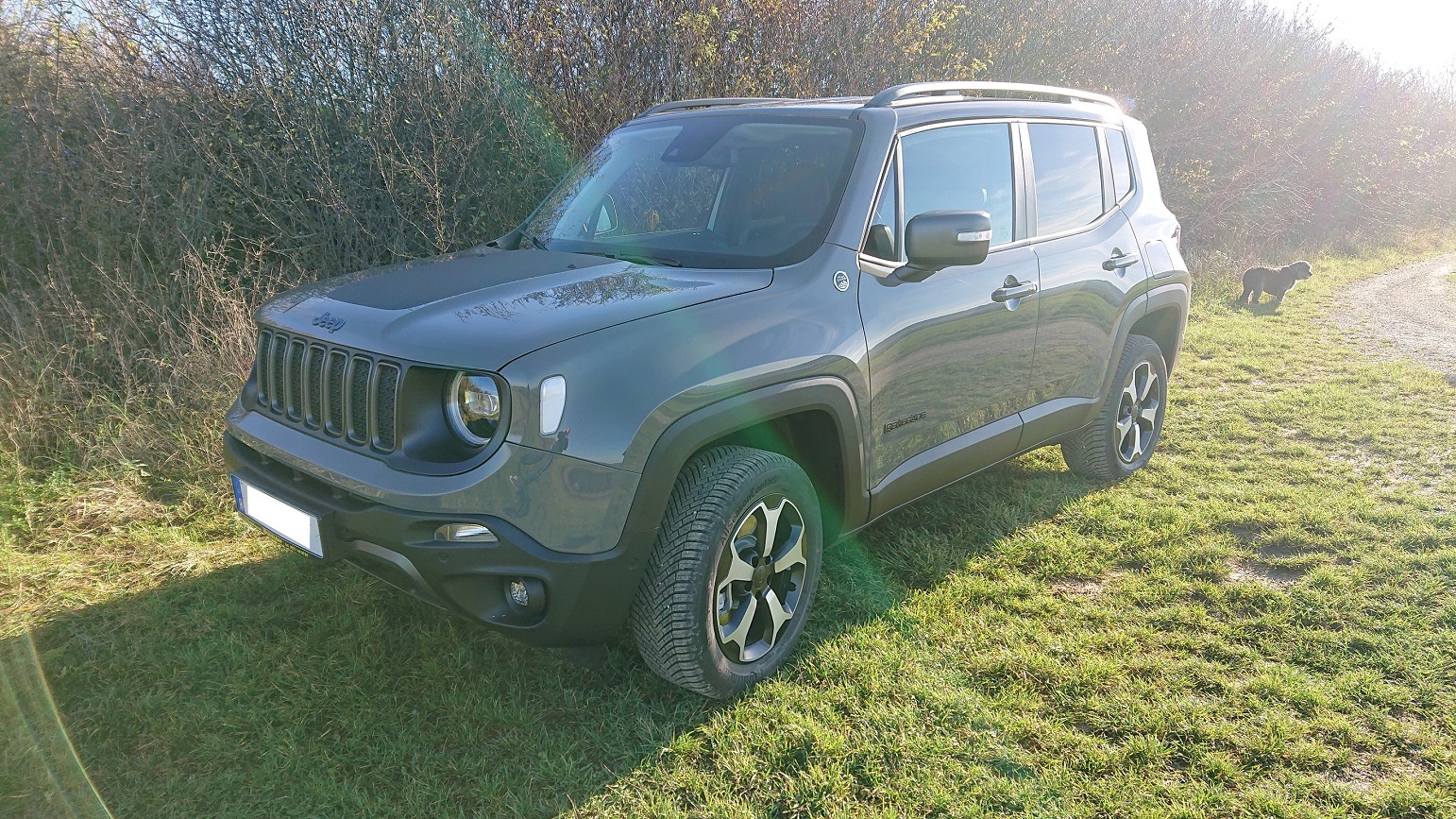 Erstes Foto vom Renegade