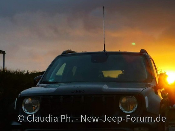 Free Willy wacht über uns