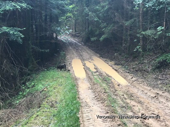 Fahren oder nicht fahren?